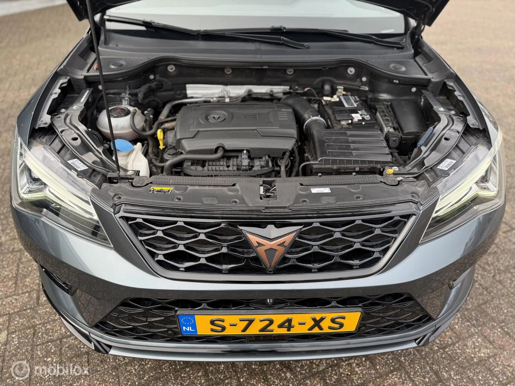 Hoofdafbeelding CUPRA Ateca
