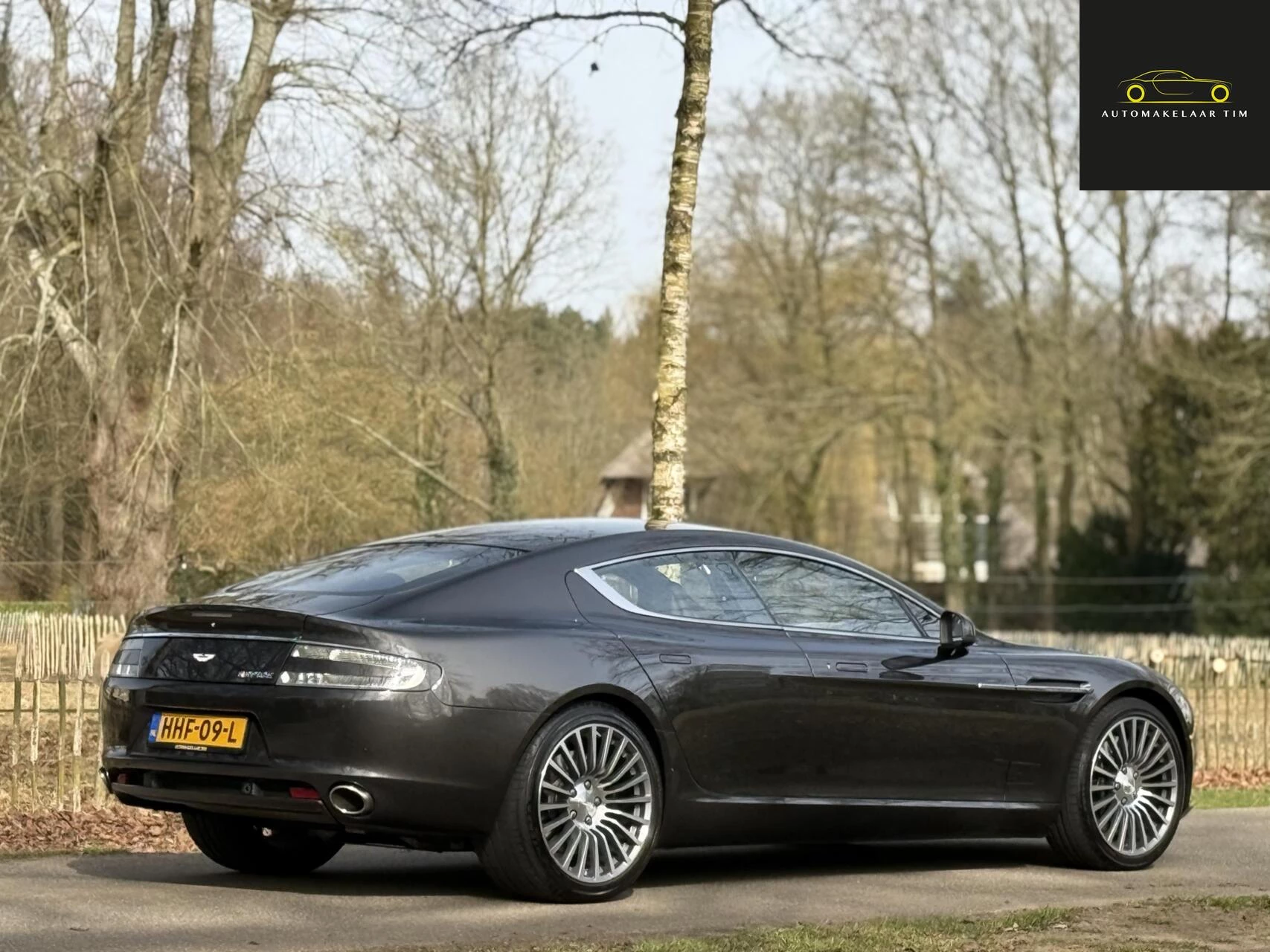 Hoofdafbeelding Aston Martin Rapide