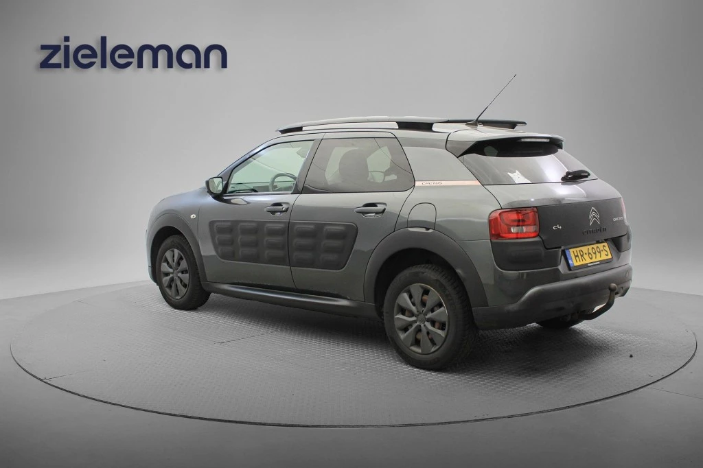 Hoofdafbeelding Citroën C4 Cactus
