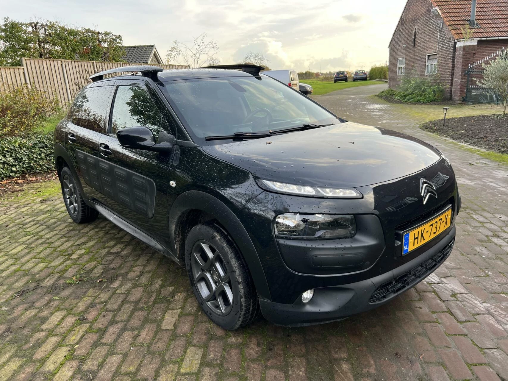 Hoofdafbeelding Citroën C4 Cactus