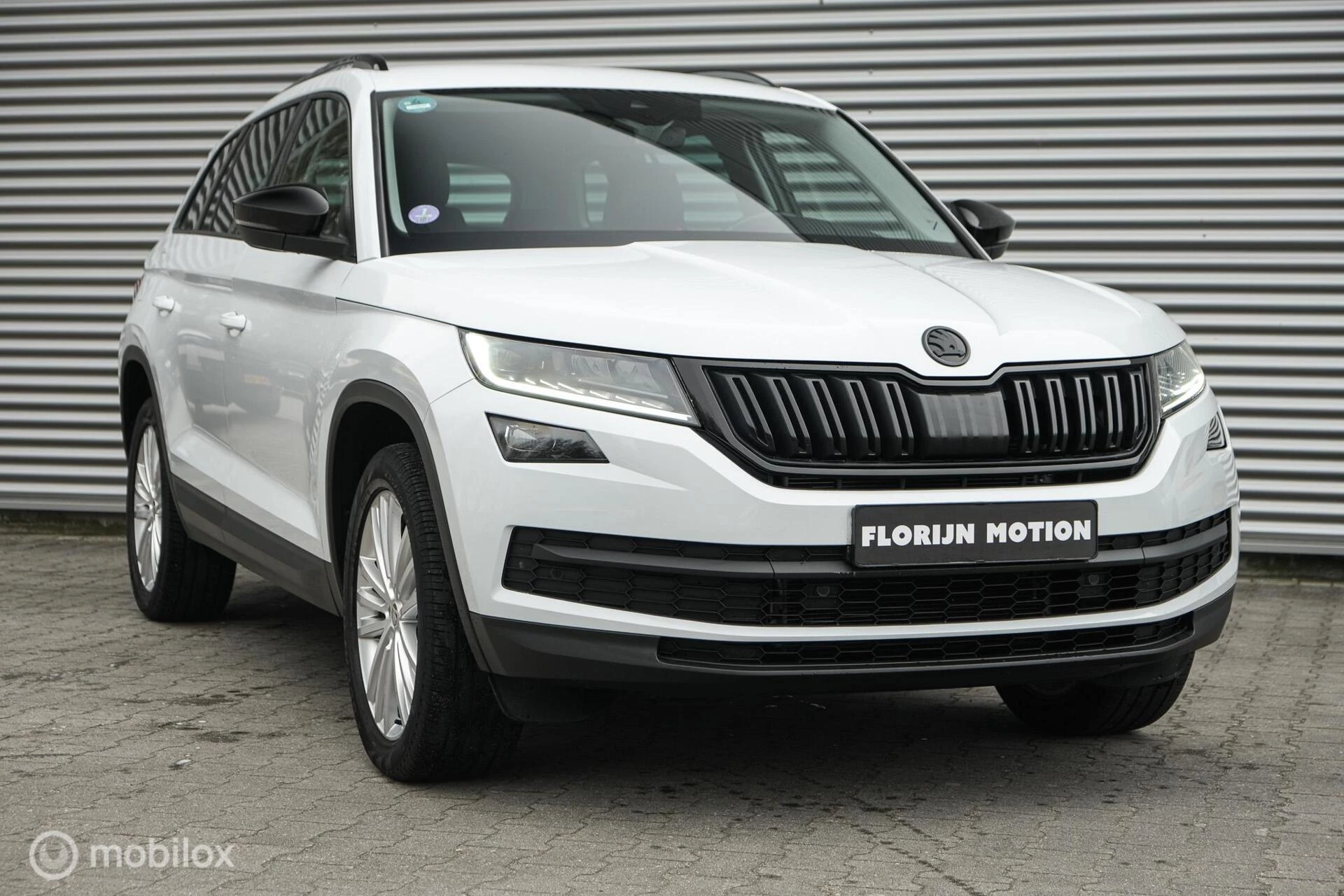 Hoofdafbeelding Škoda Kodiaq