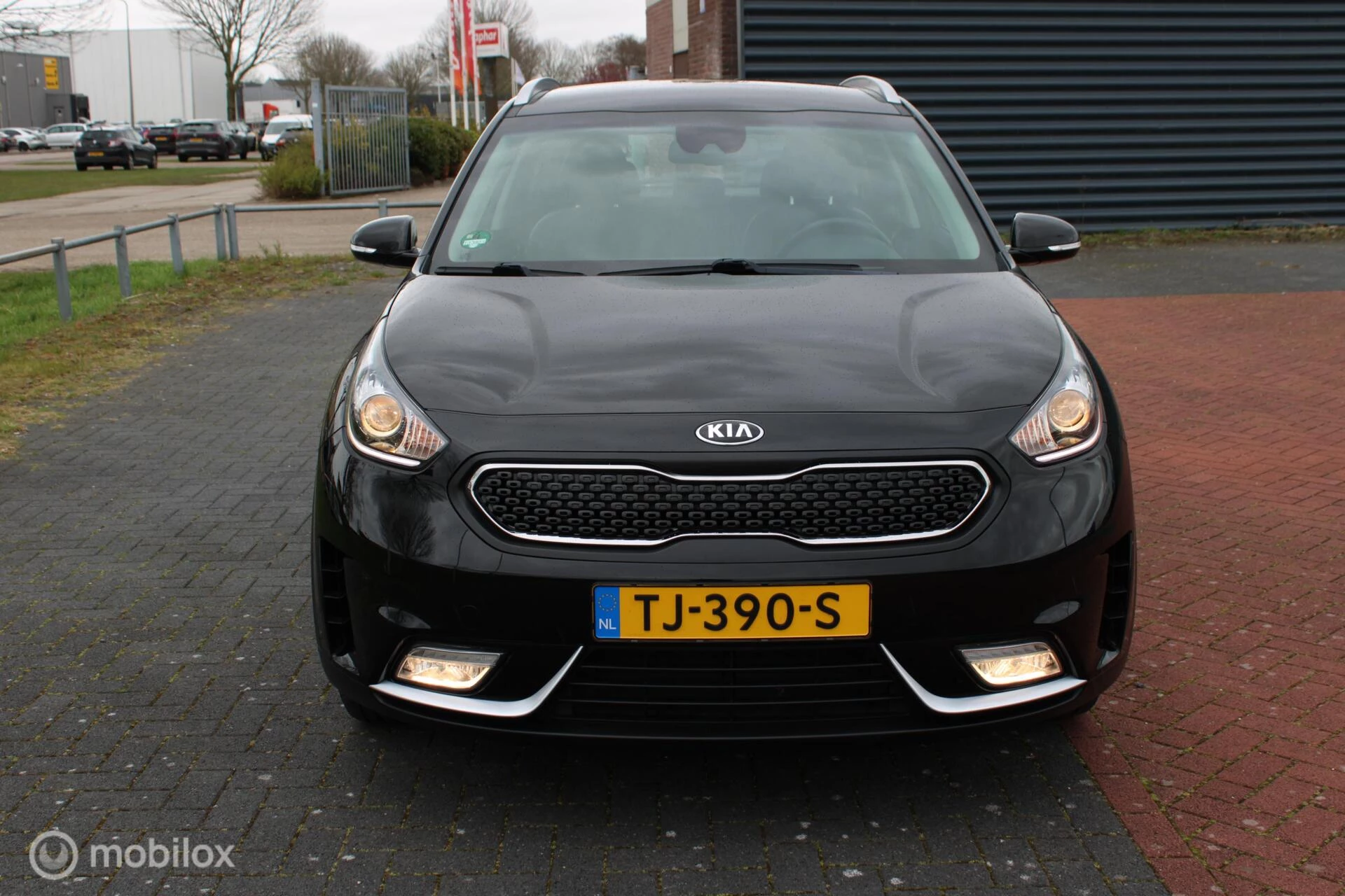 Hoofdafbeelding Kia Niro