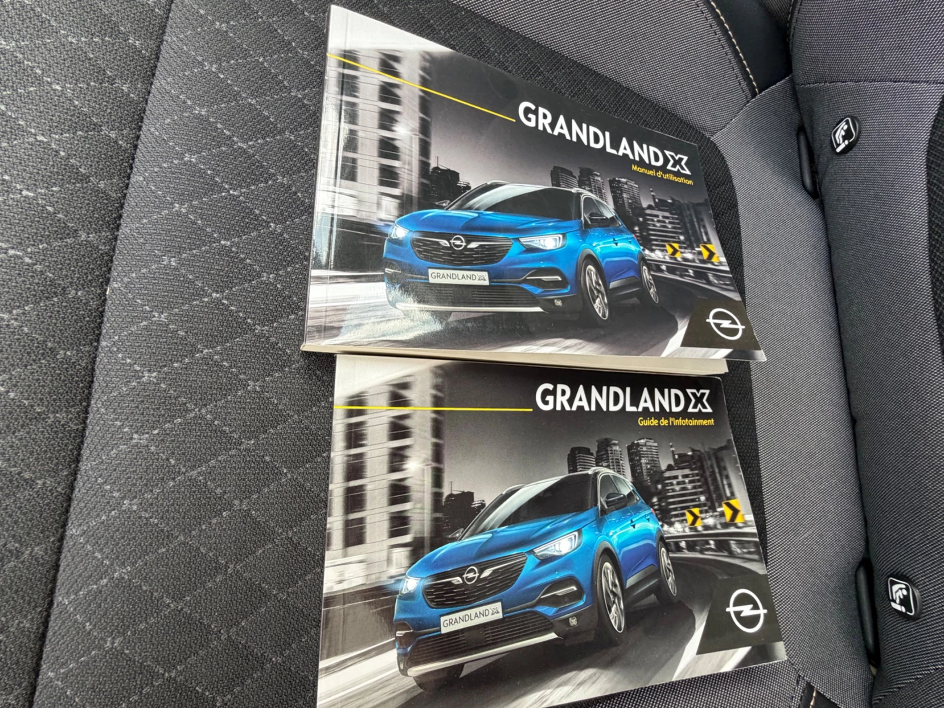 Hoofdafbeelding Opel Grandland X