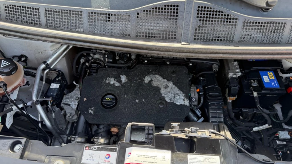 Hoofdafbeelding Peugeot Expert