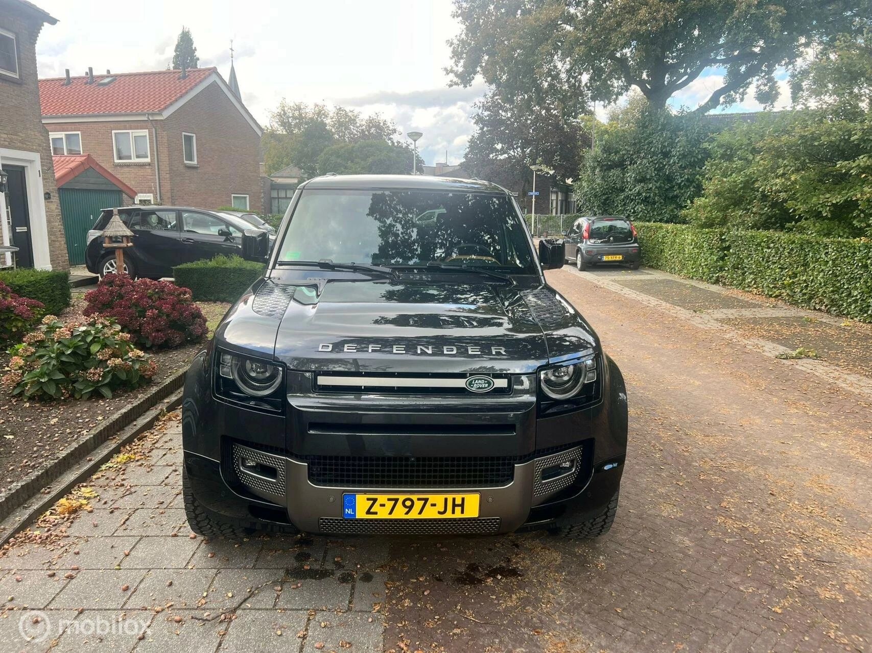 Hoofdafbeelding Land Rover Defender