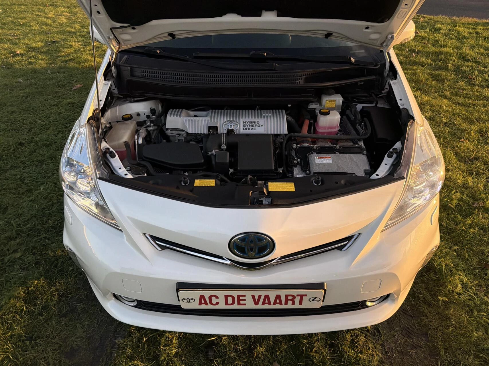 Hoofdafbeelding Toyota Prius