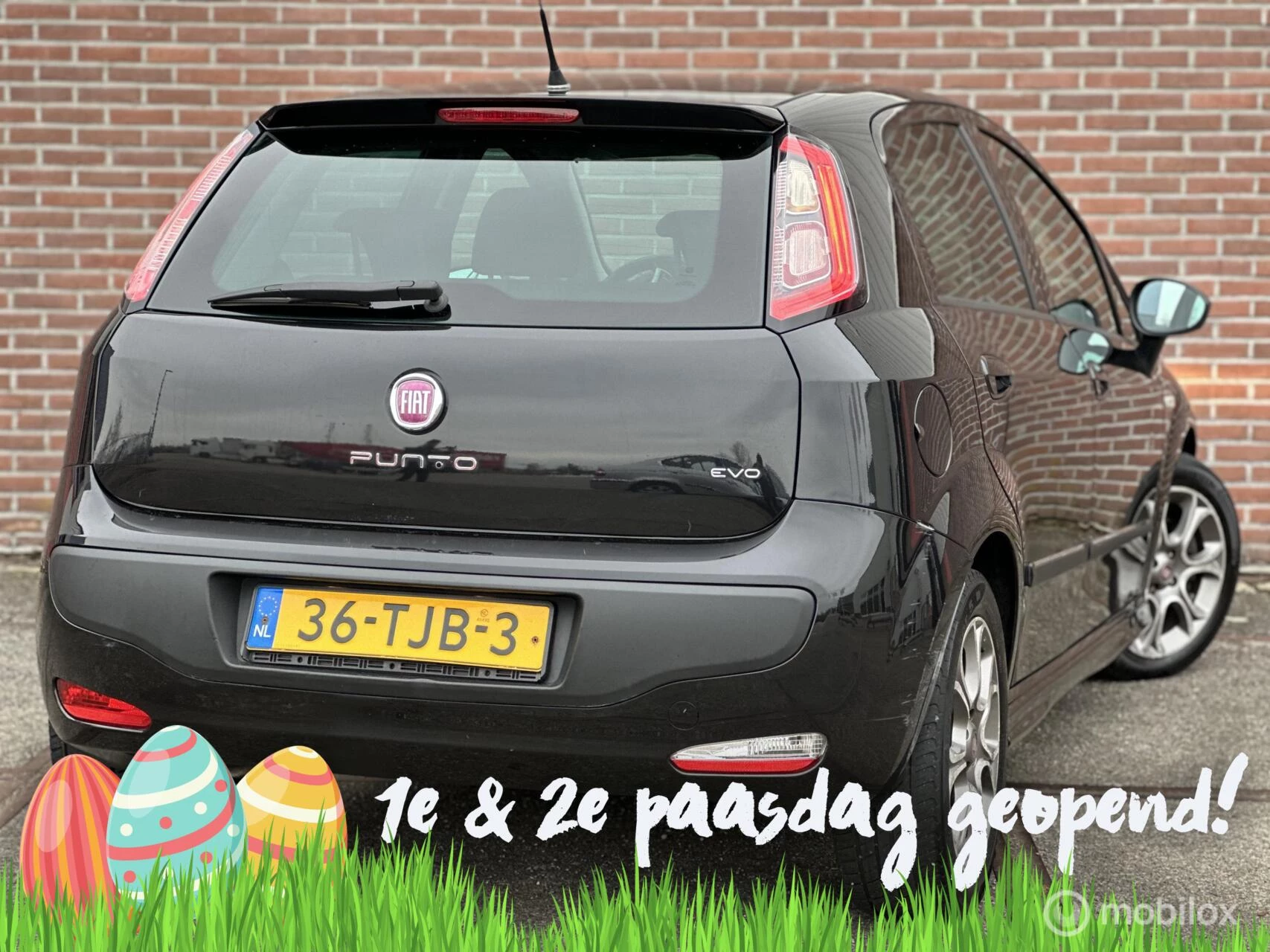 Hoofdafbeelding Fiat Punto