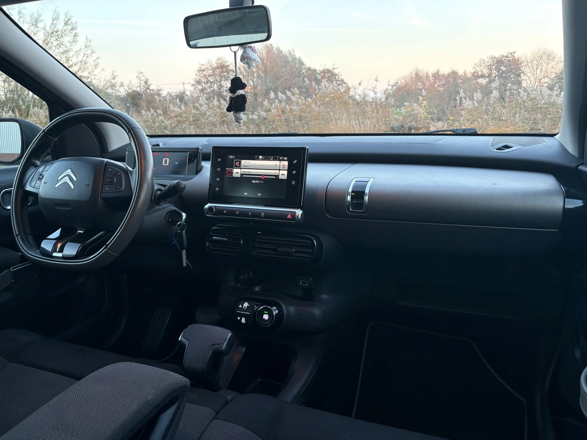 Hoofdafbeelding Citroën C4 Cactus