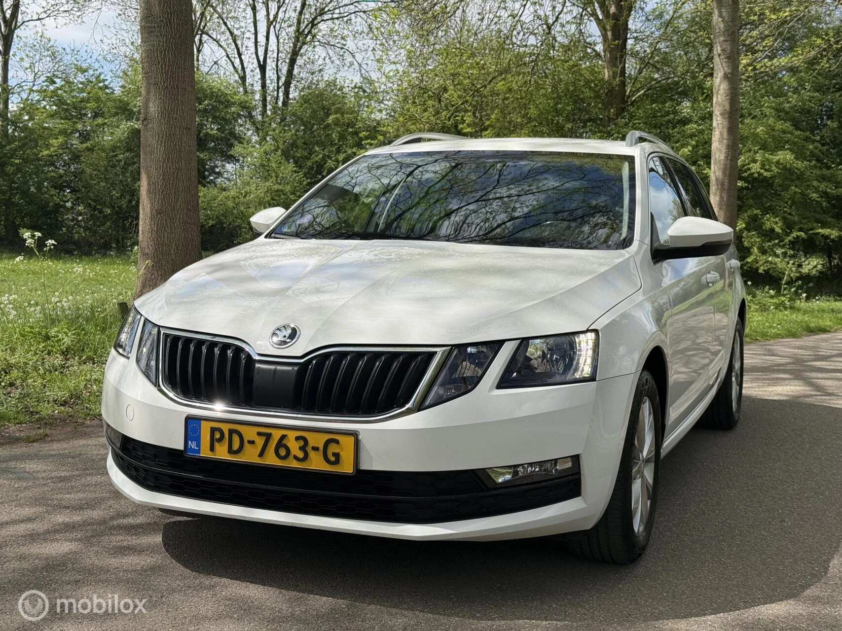 Hoofdafbeelding Škoda Octavia