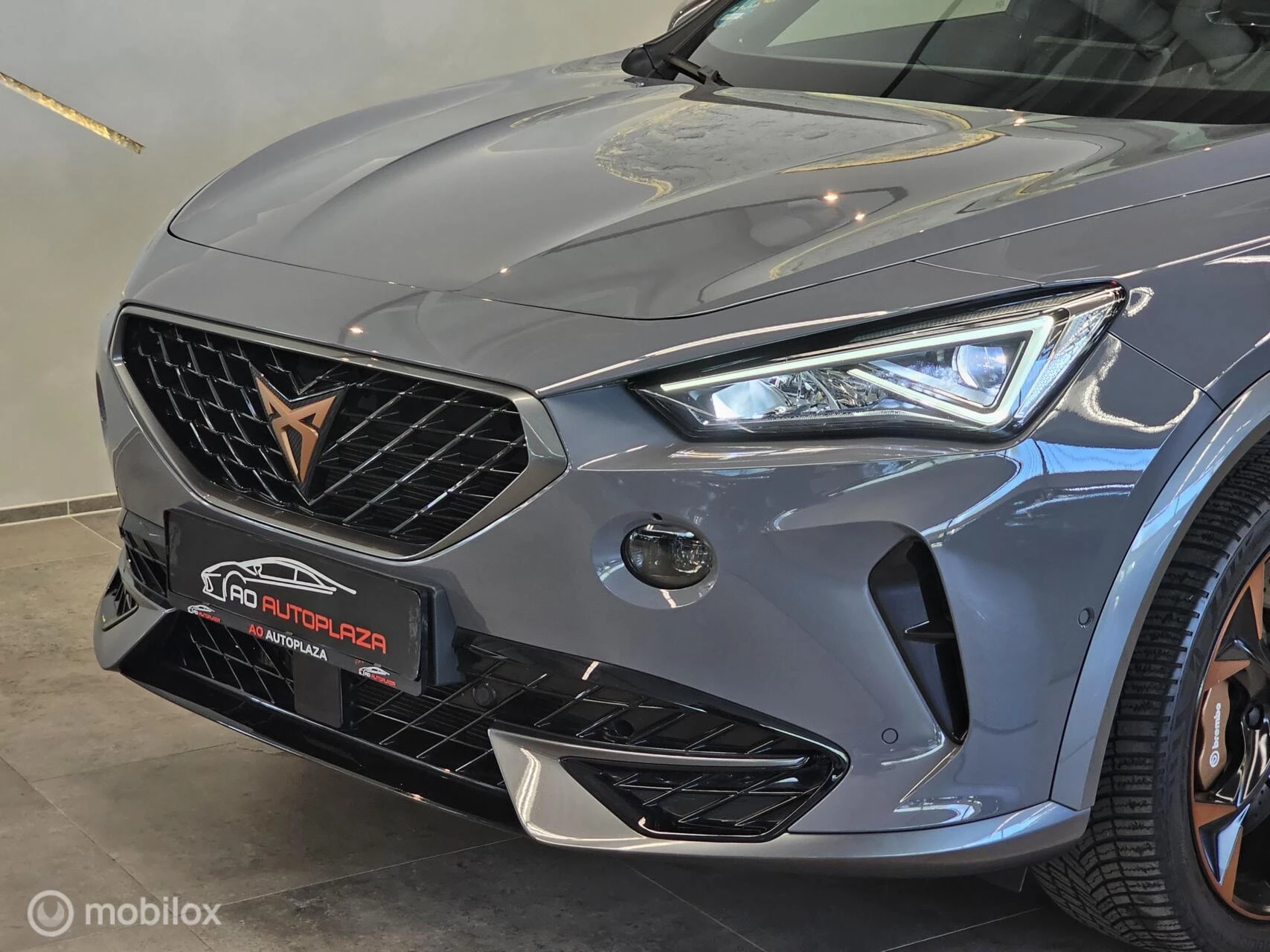 Hoofdafbeelding CUPRA Formentor