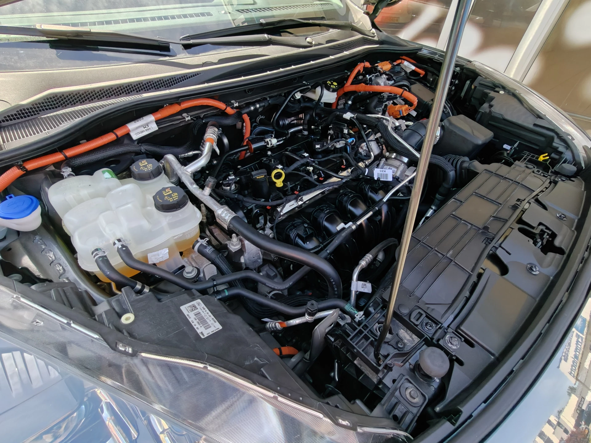 Hoofdafbeelding Ford Kuga