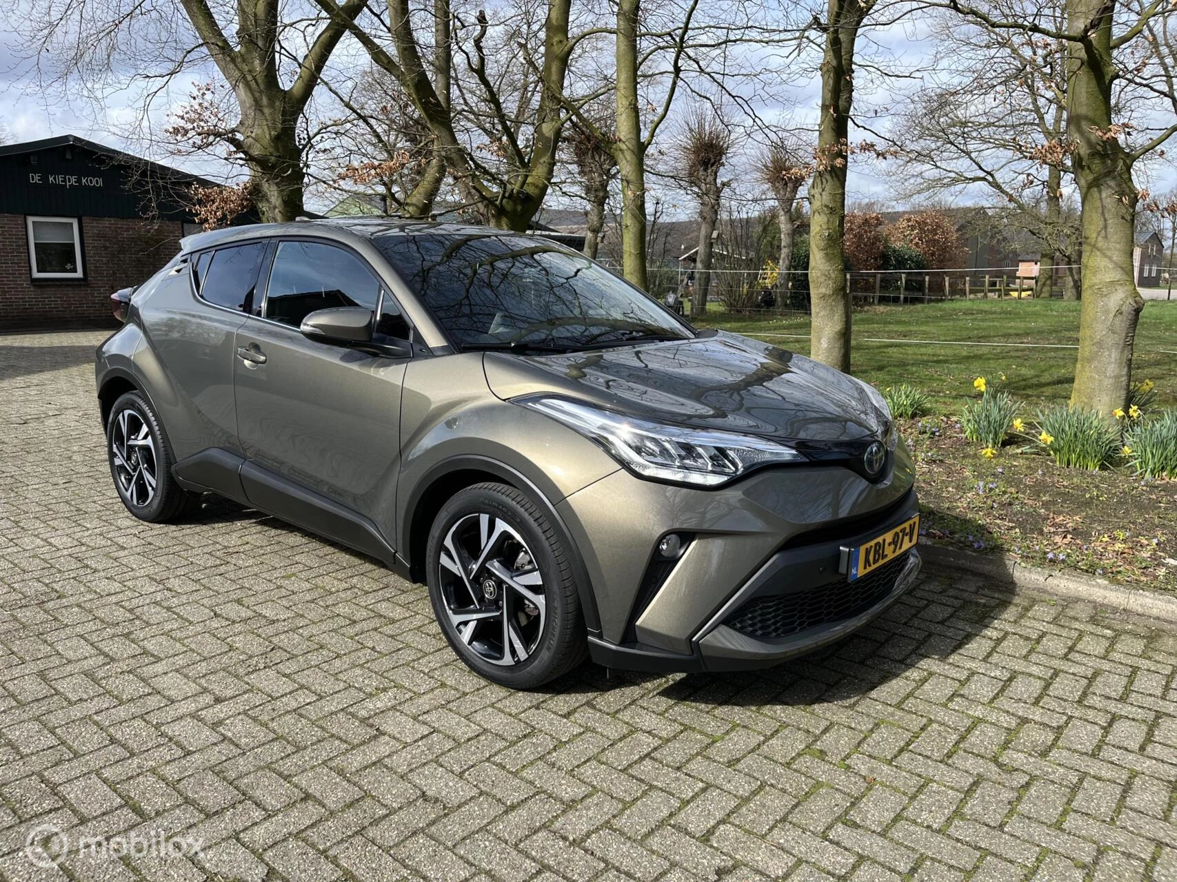 Hoofdafbeelding Toyota C-HR