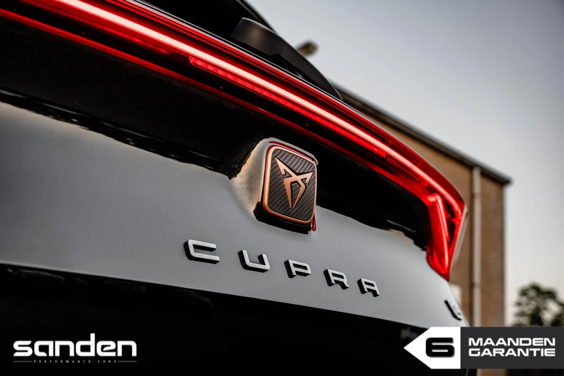 Hoofdafbeelding CUPRA Formentor