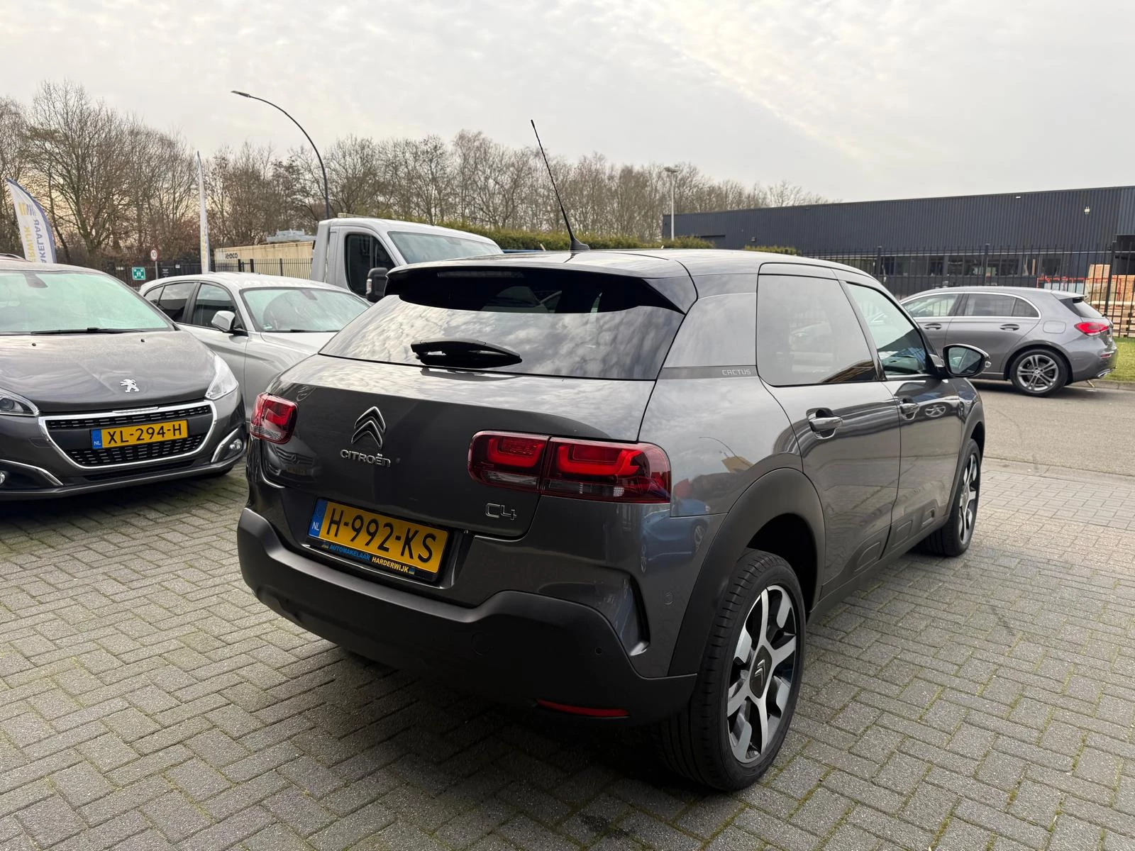 Hoofdafbeelding Citroën C4 Cactus