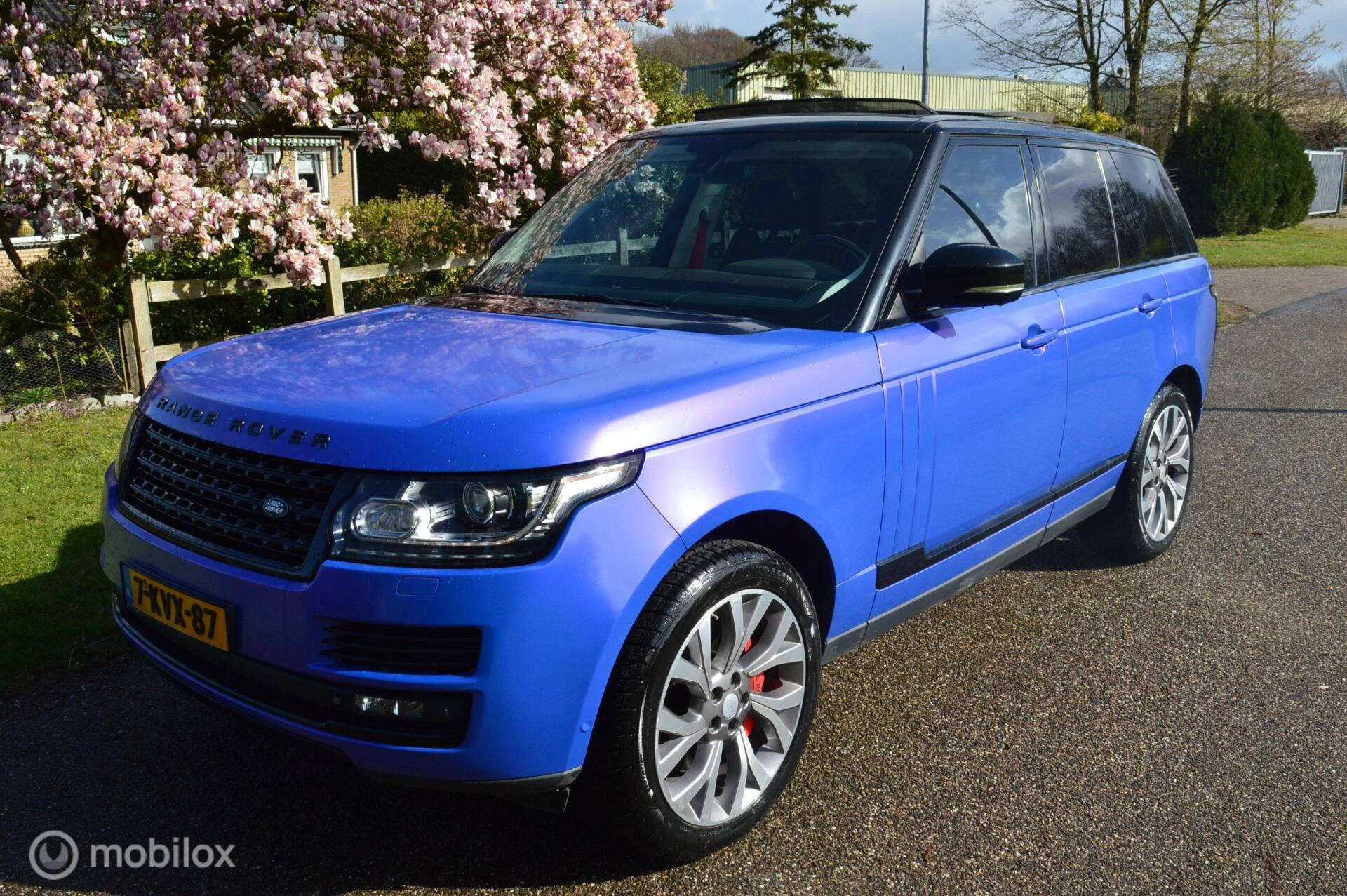 Hoofdafbeelding Land Rover Range Rover