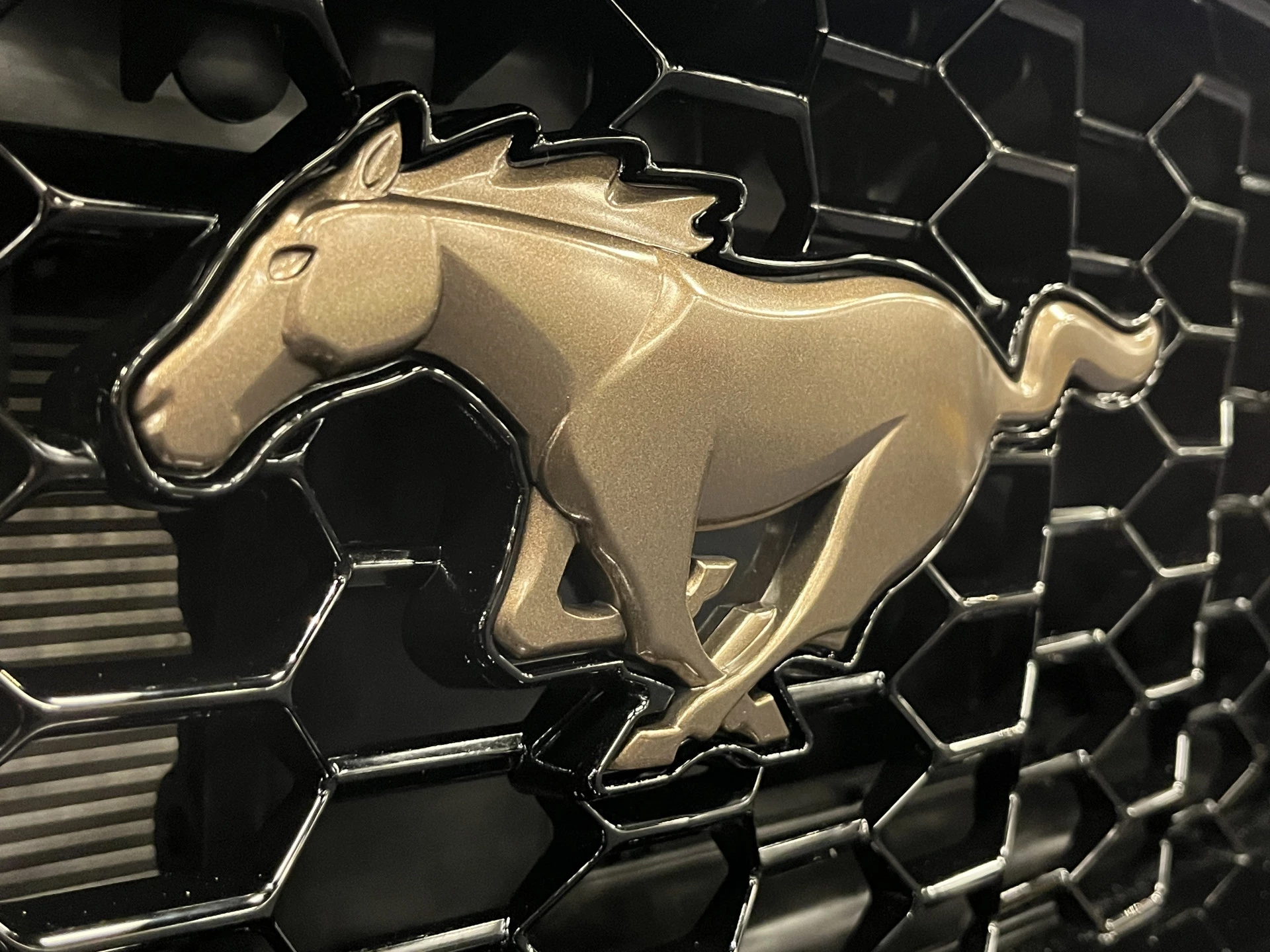 Hoofdafbeelding Ford Mustang