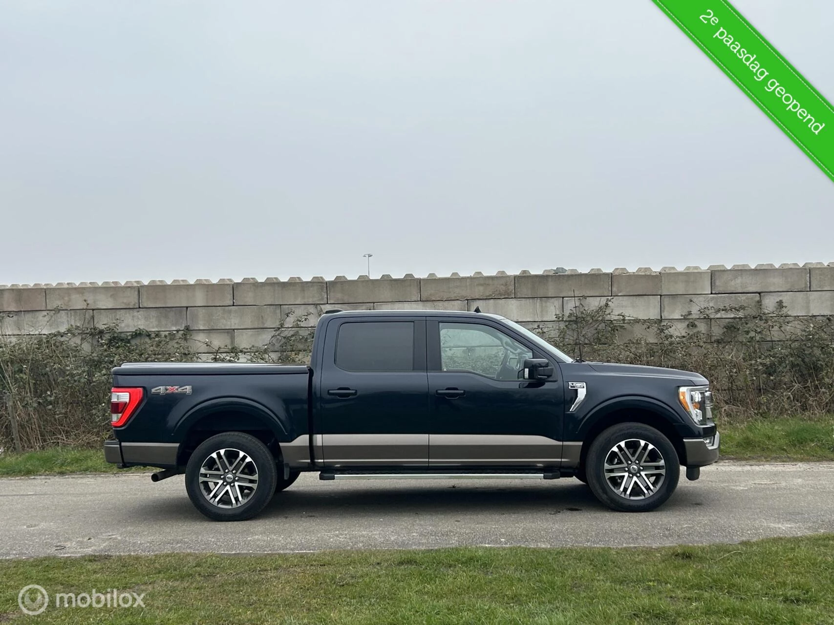 Hoofdafbeelding Ford F-150