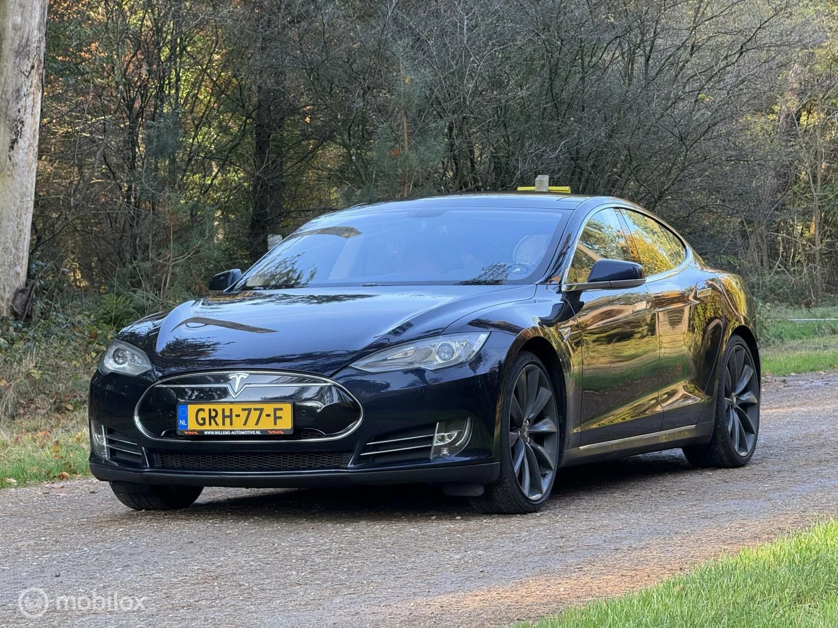 Hoofdafbeelding Tesla Model S