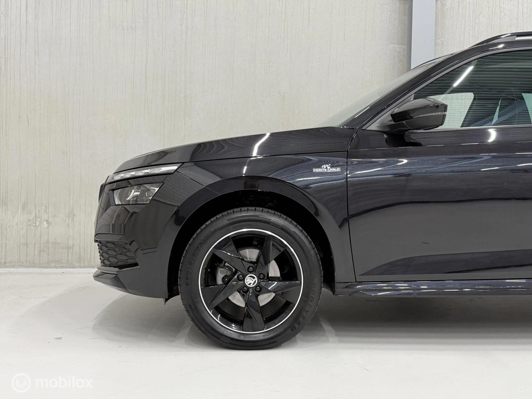 Hoofdafbeelding Škoda Kamiq