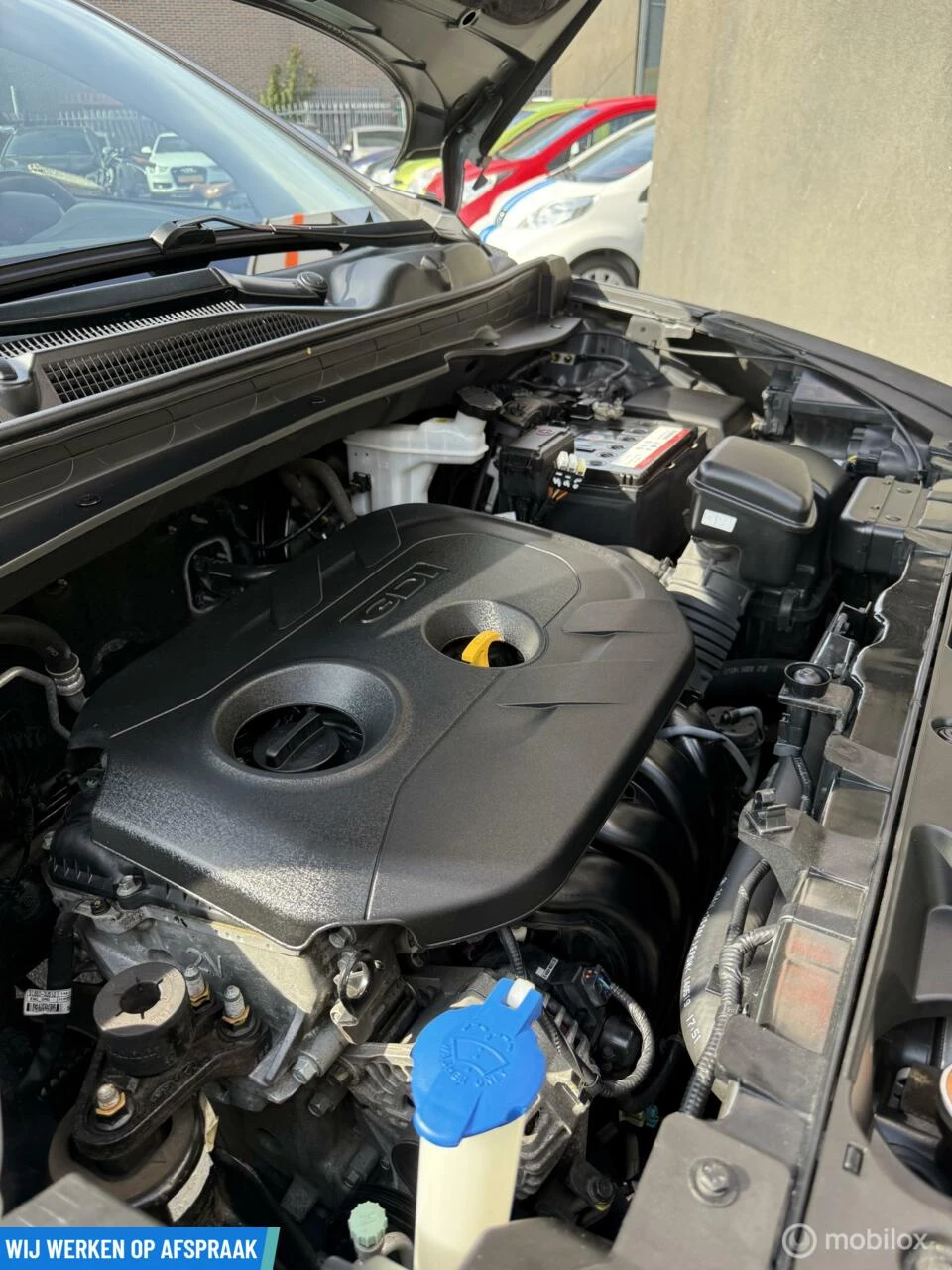 Hoofdafbeelding Kia Sportage