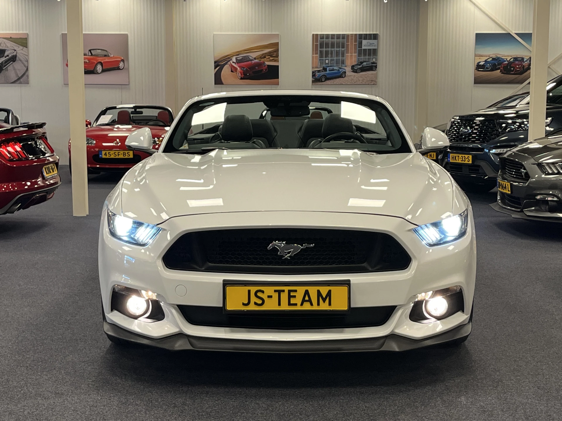 Hoofdafbeelding Ford Mustang
