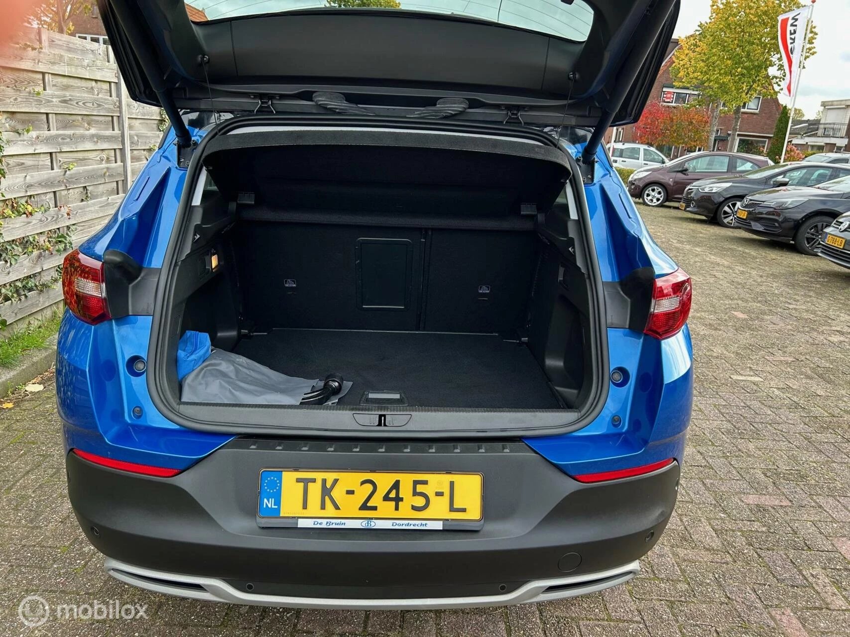 Hoofdafbeelding Opel Grandland X