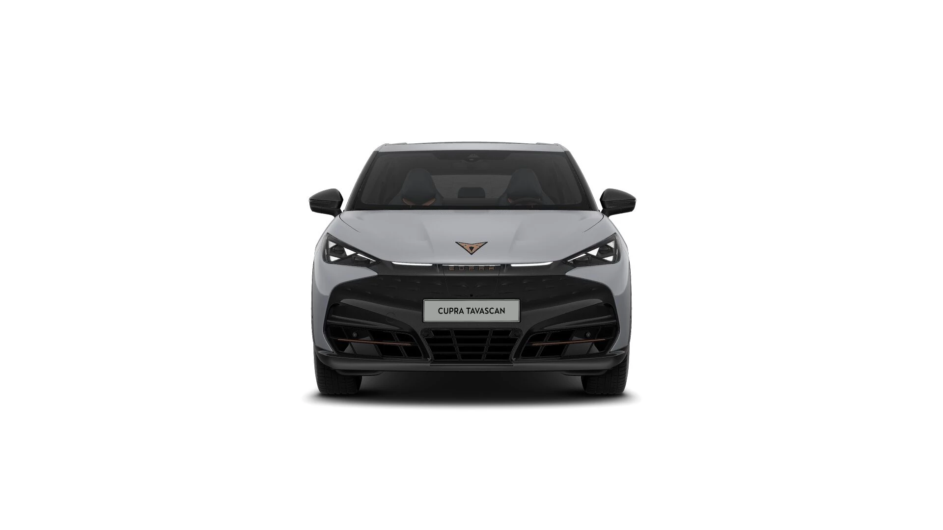 Hoofdafbeelding CUPRA Tavascan