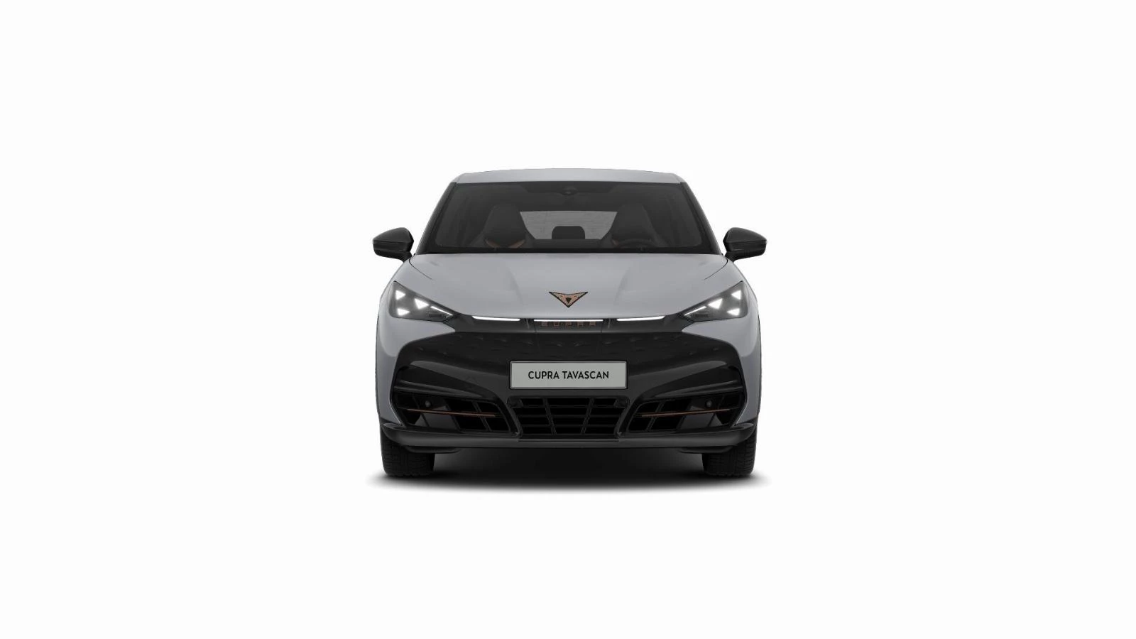 Hoofdafbeelding CUPRA Tavascan