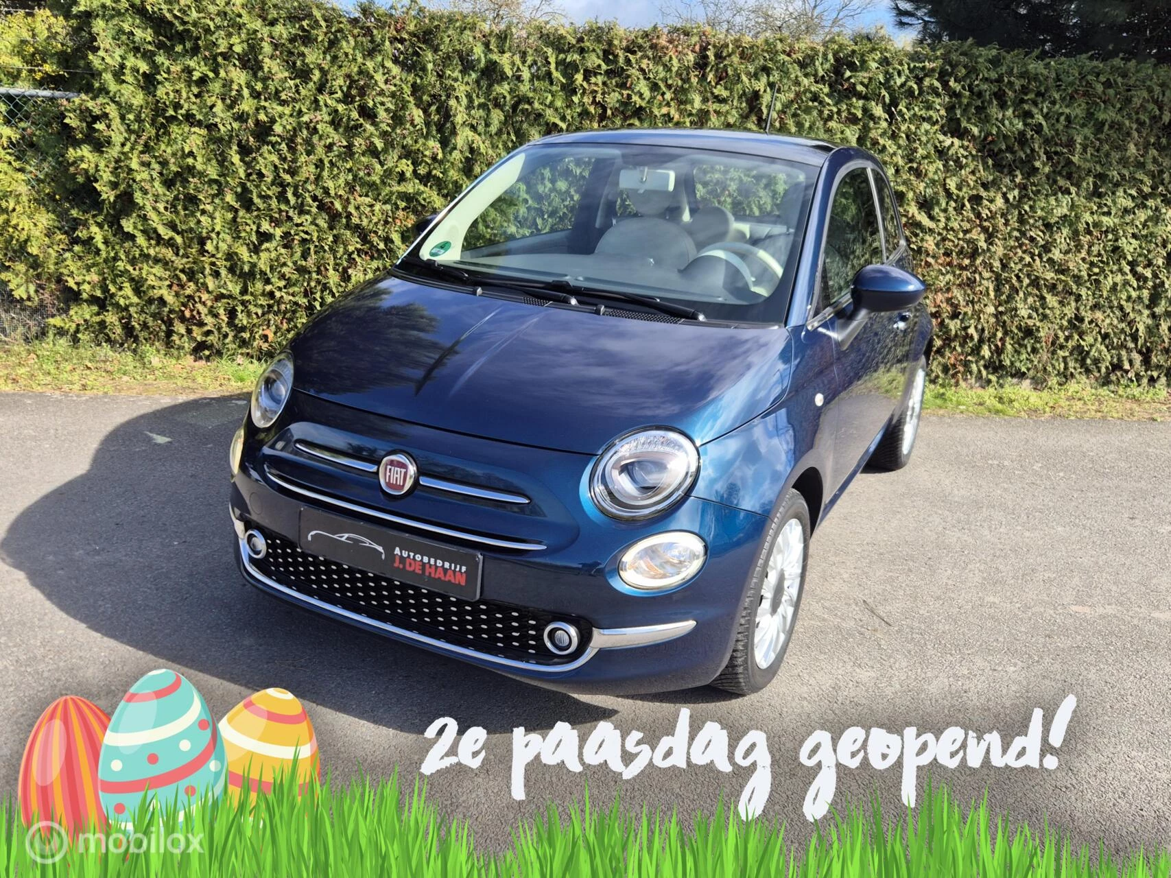 Hoofdafbeelding Fiat 500