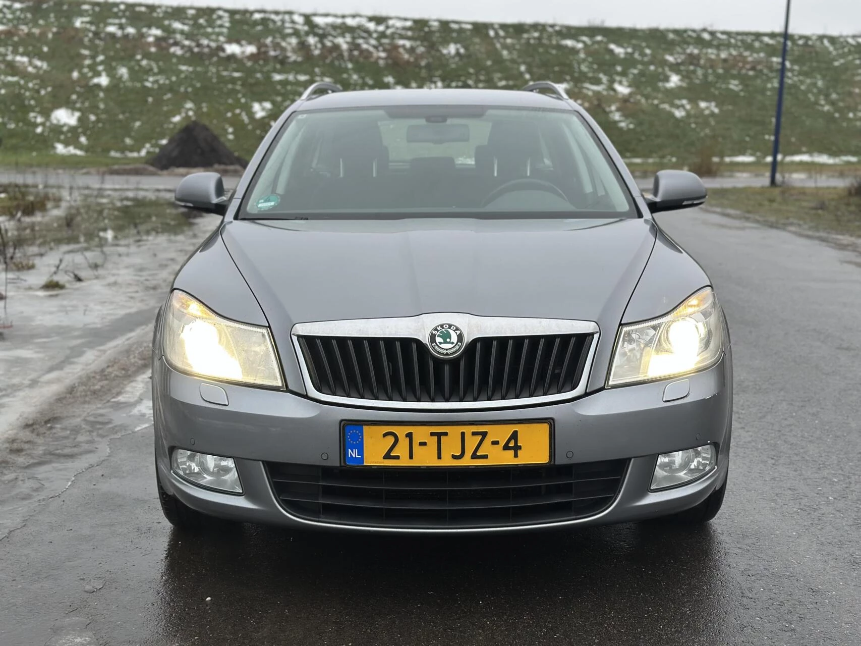 Hoofdafbeelding Škoda Octavia