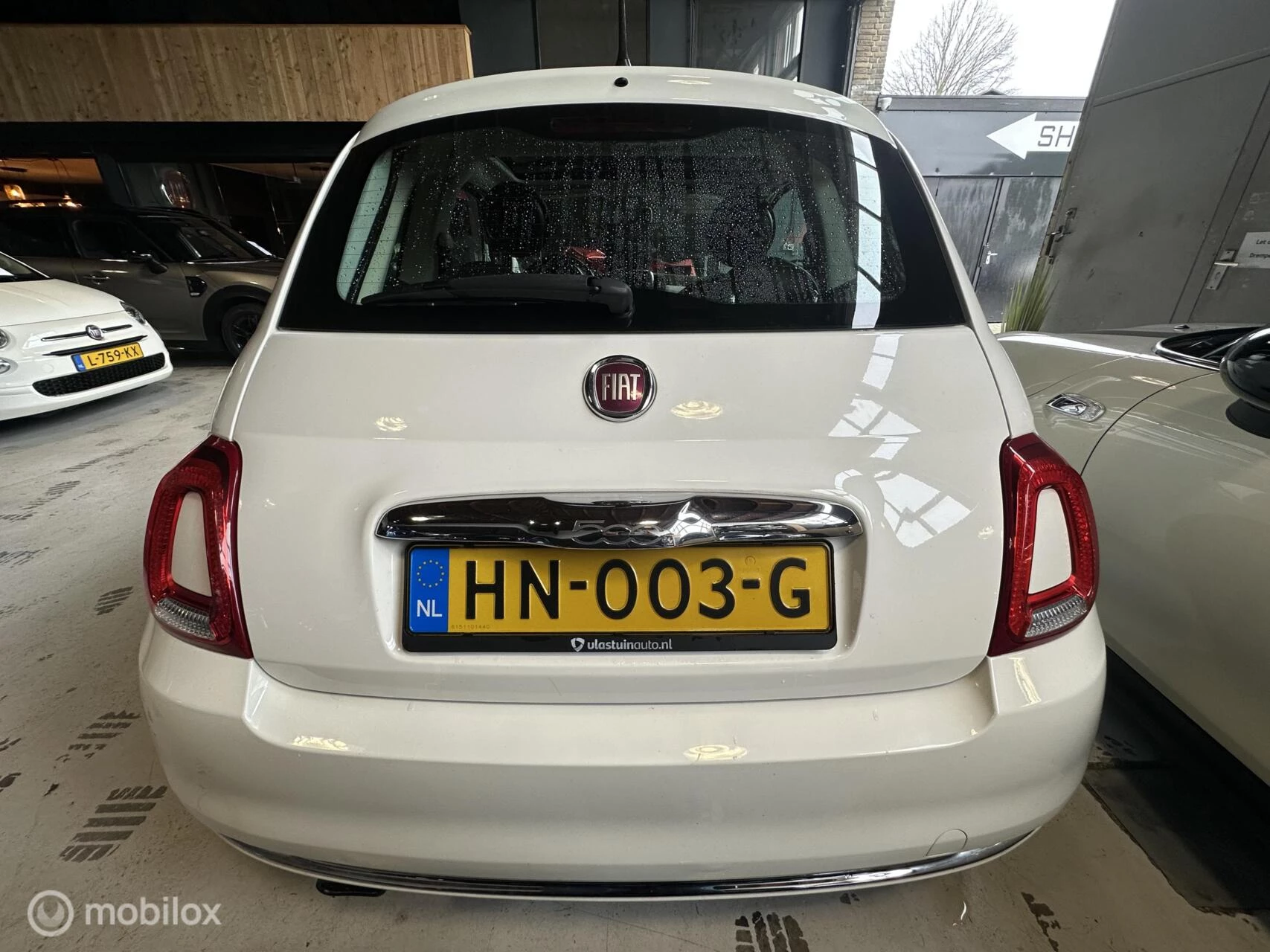 Hoofdafbeelding Fiat 500