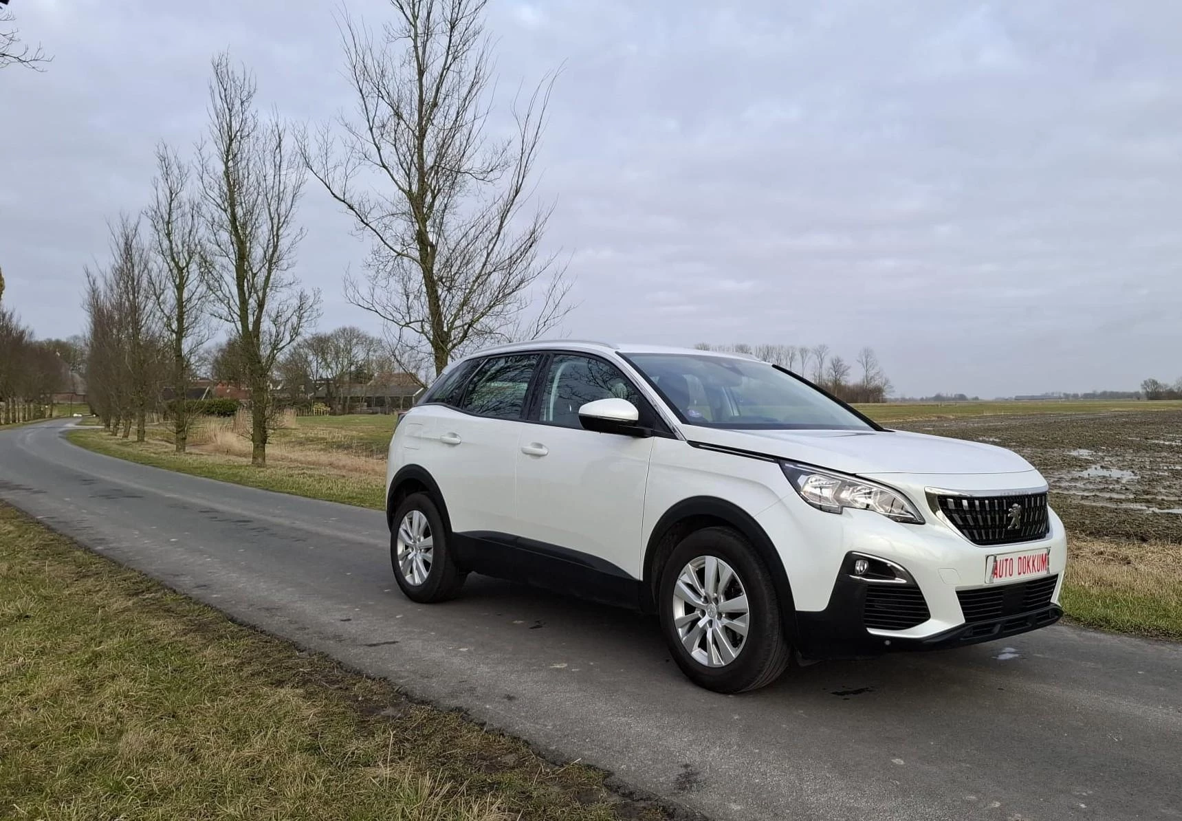 Hoofdafbeelding Peugeot 3008