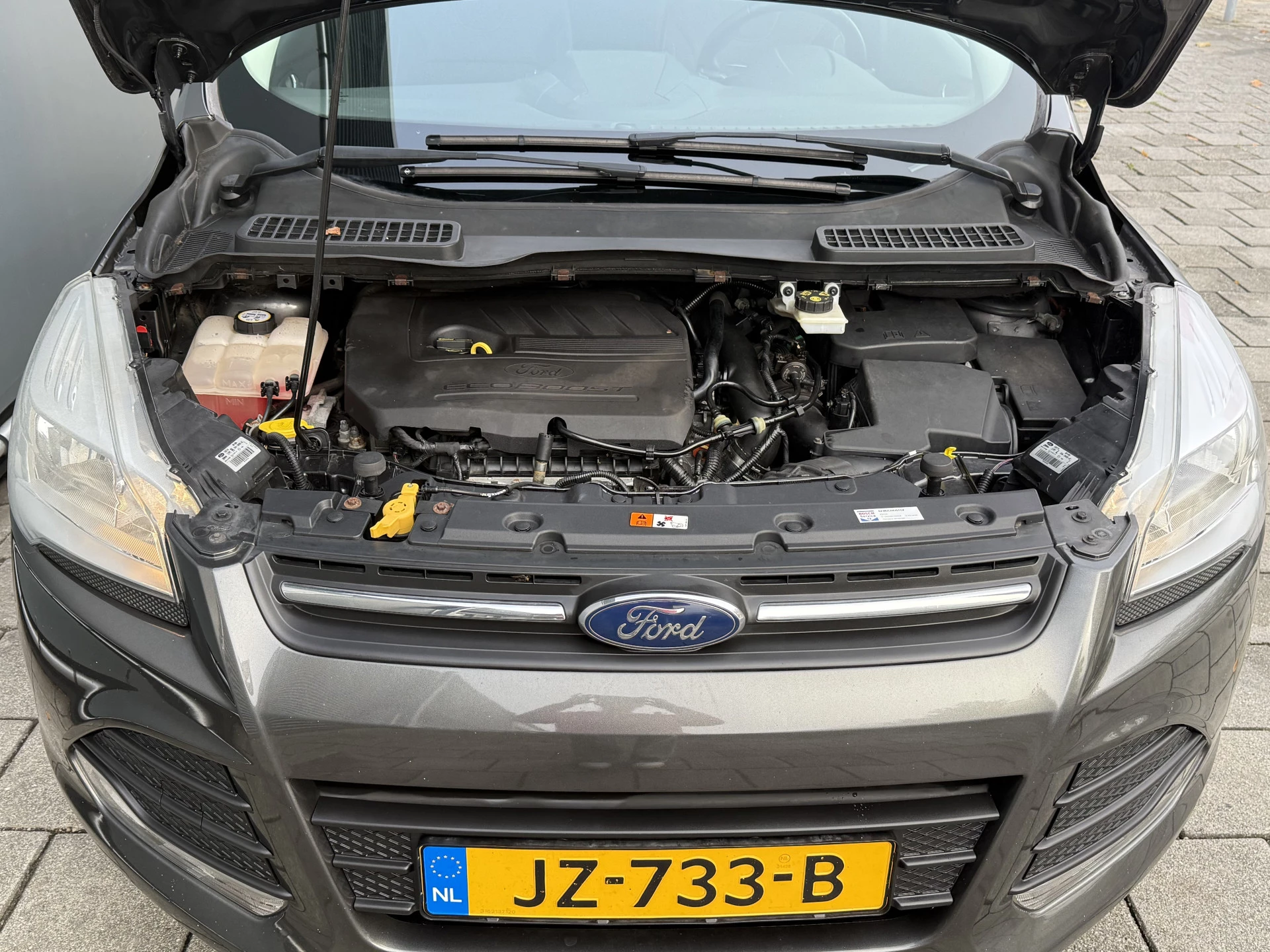 Hoofdafbeelding Ford Kuga