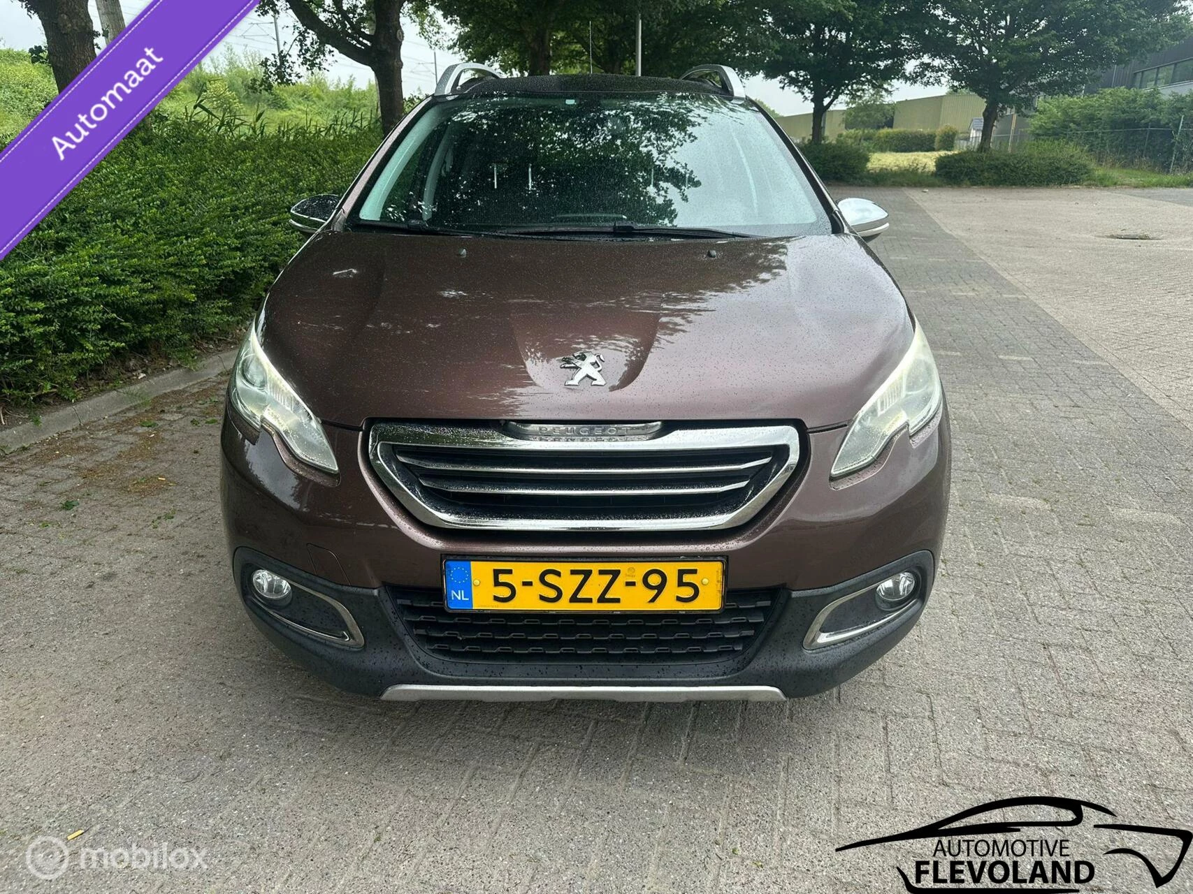 Hoofdafbeelding Peugeot 2008