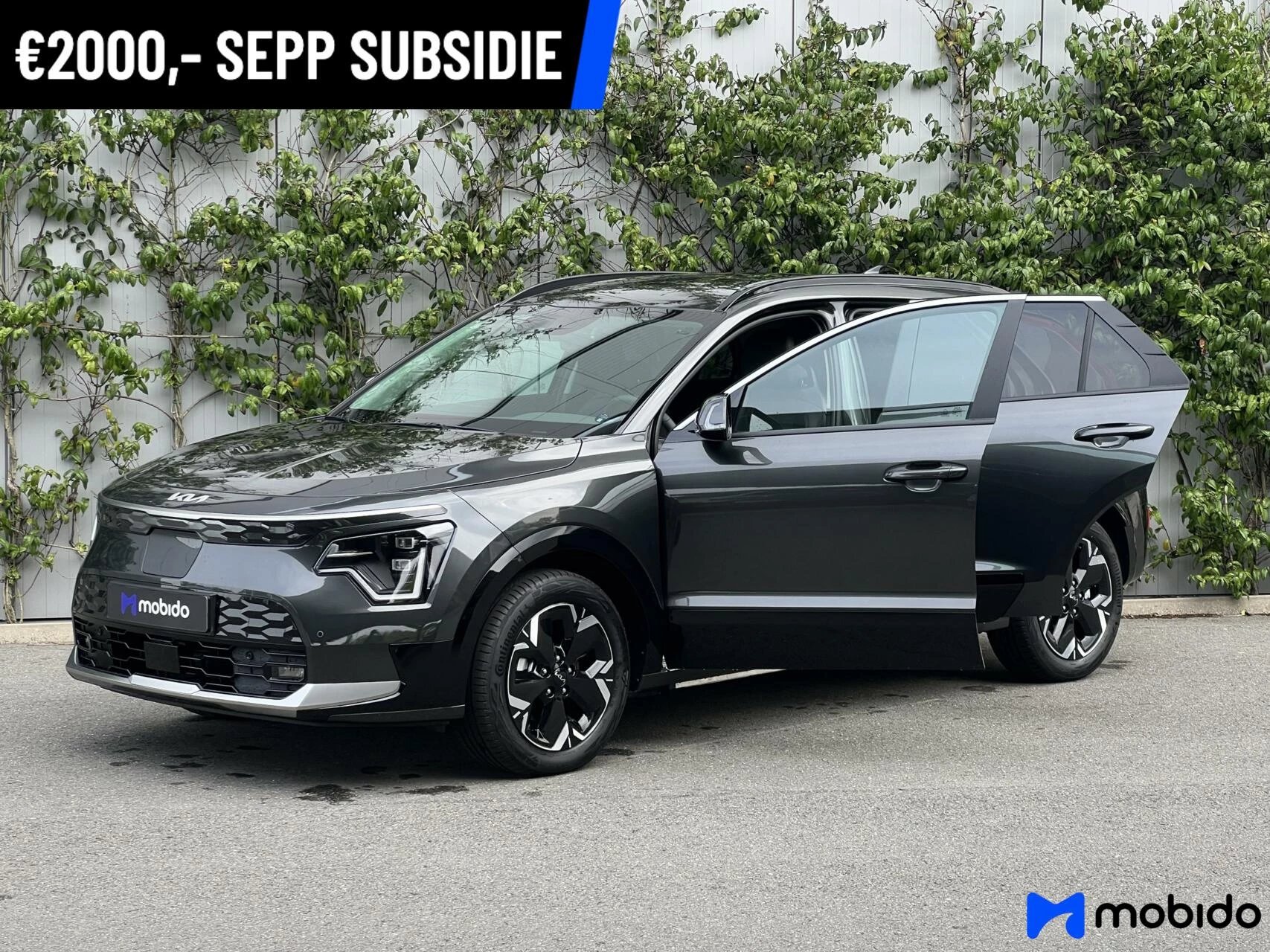 Hoofdafbeelding Kia Niro EV