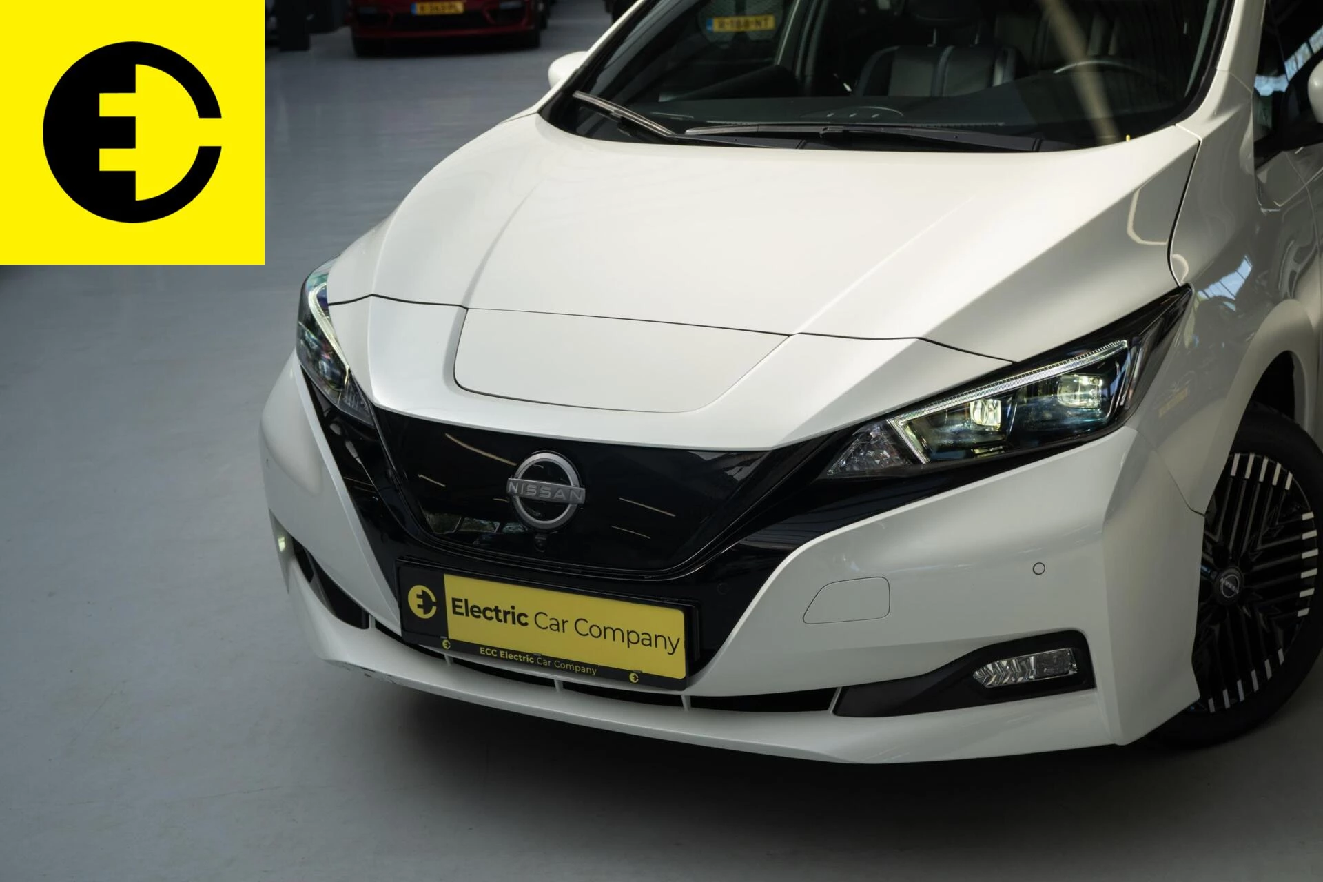 Hoofdafbeelding Nissan Leaf