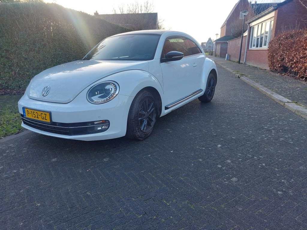 Hoofdafbeelding Volkswagen Beetle