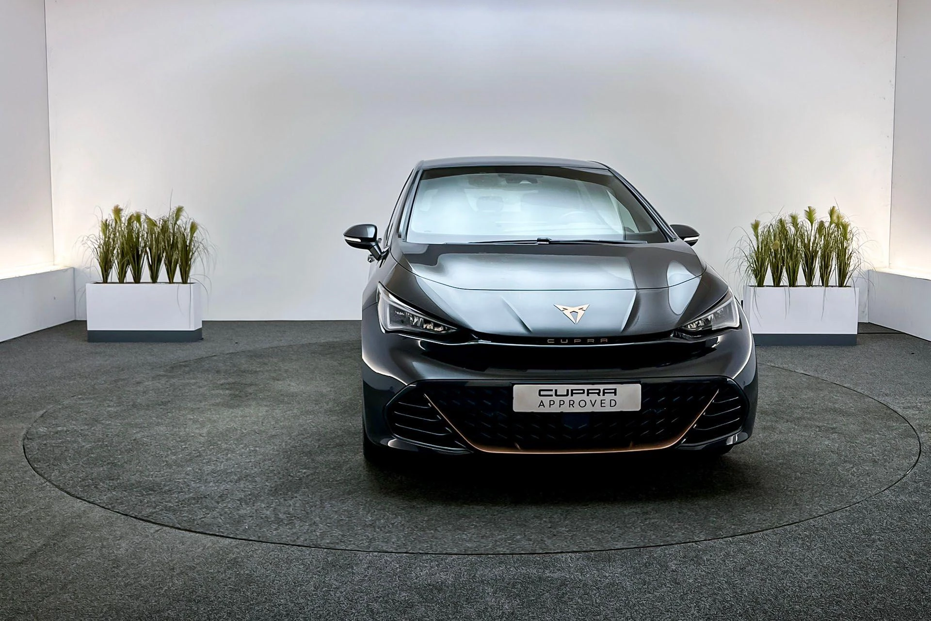 Hoofdafbeelding CUPRA Born