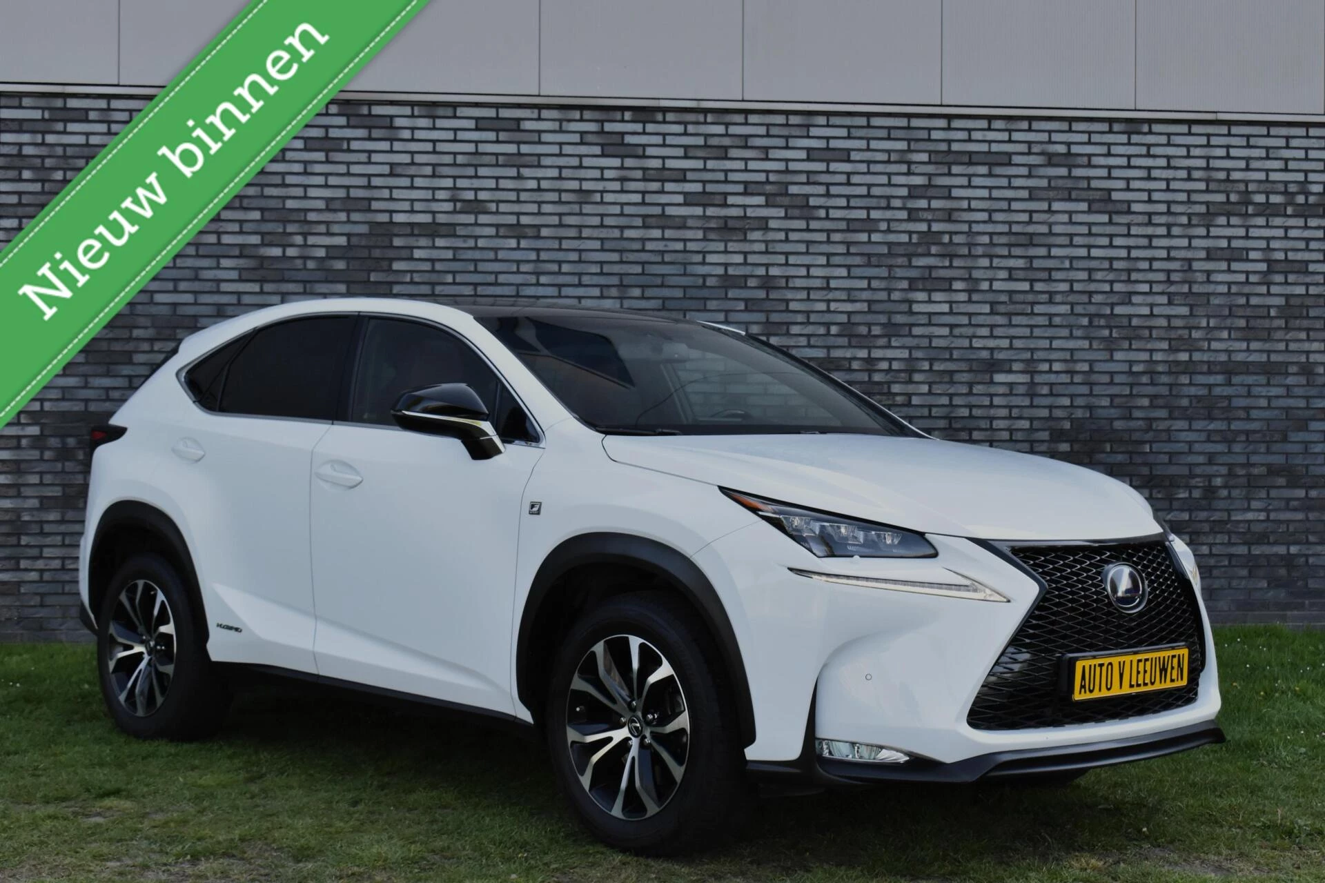Hoofdafbeelding Lexus NX