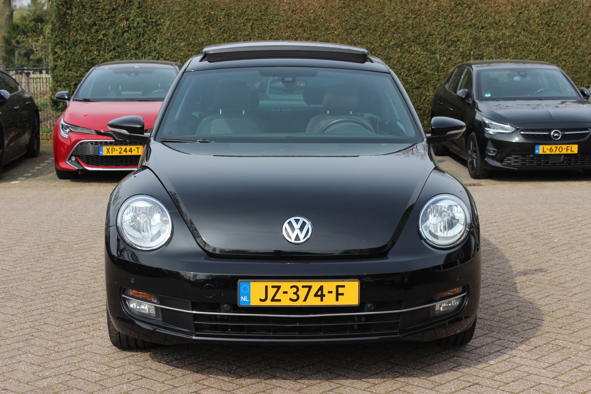 Hoofdafbeelding Volkswagen Beetle