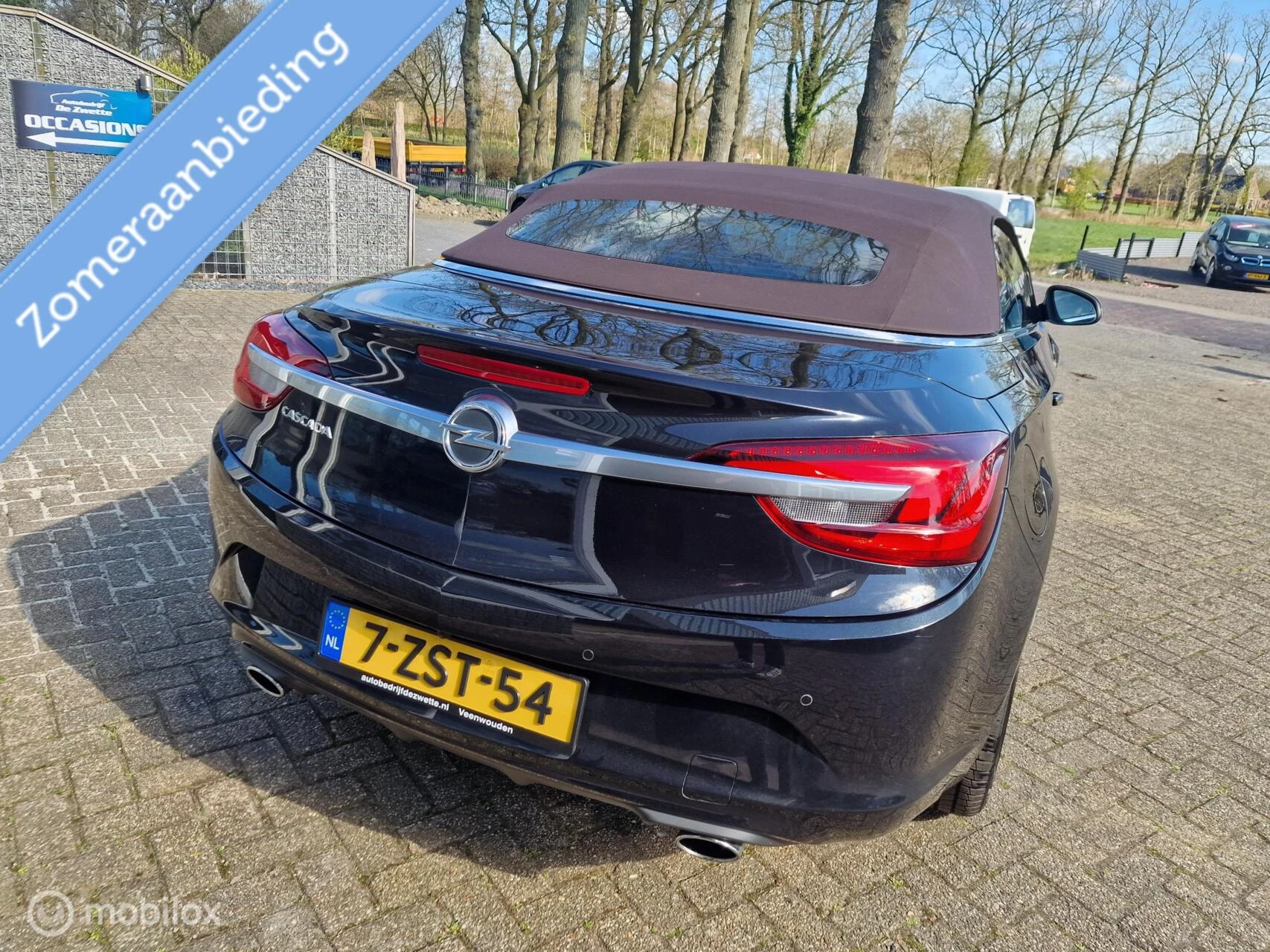 Hoofdafbeelding Opel Cascada