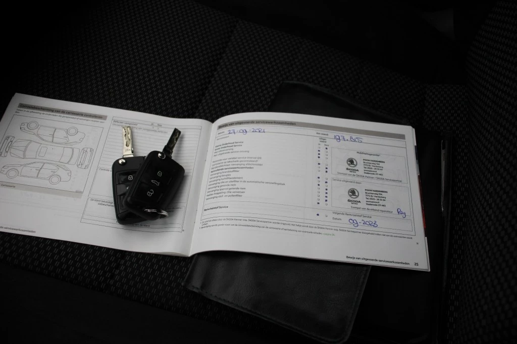 Hoofdafbeelding Škoda Octavia