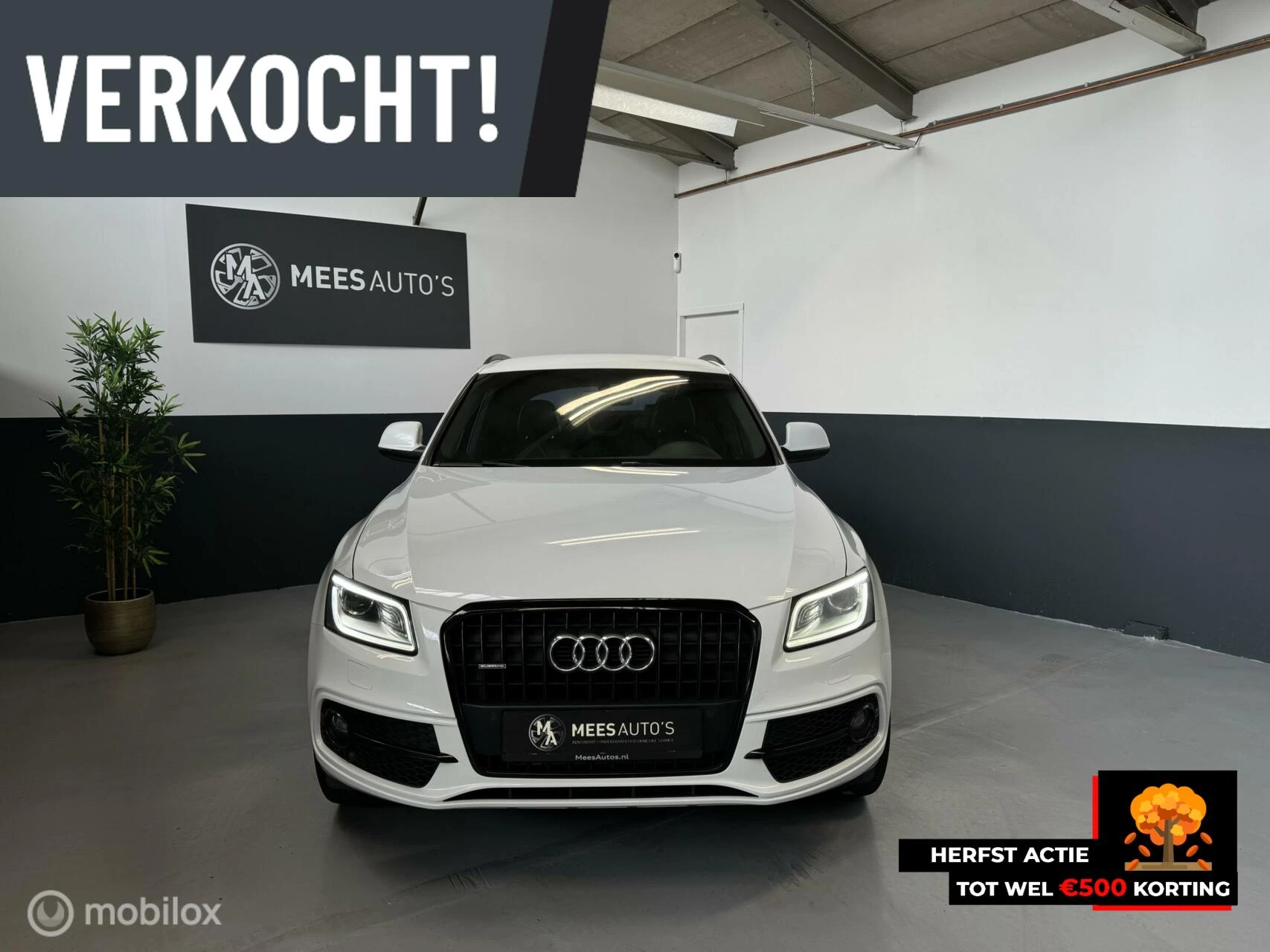 Hoofdafbeelding Audi Q5