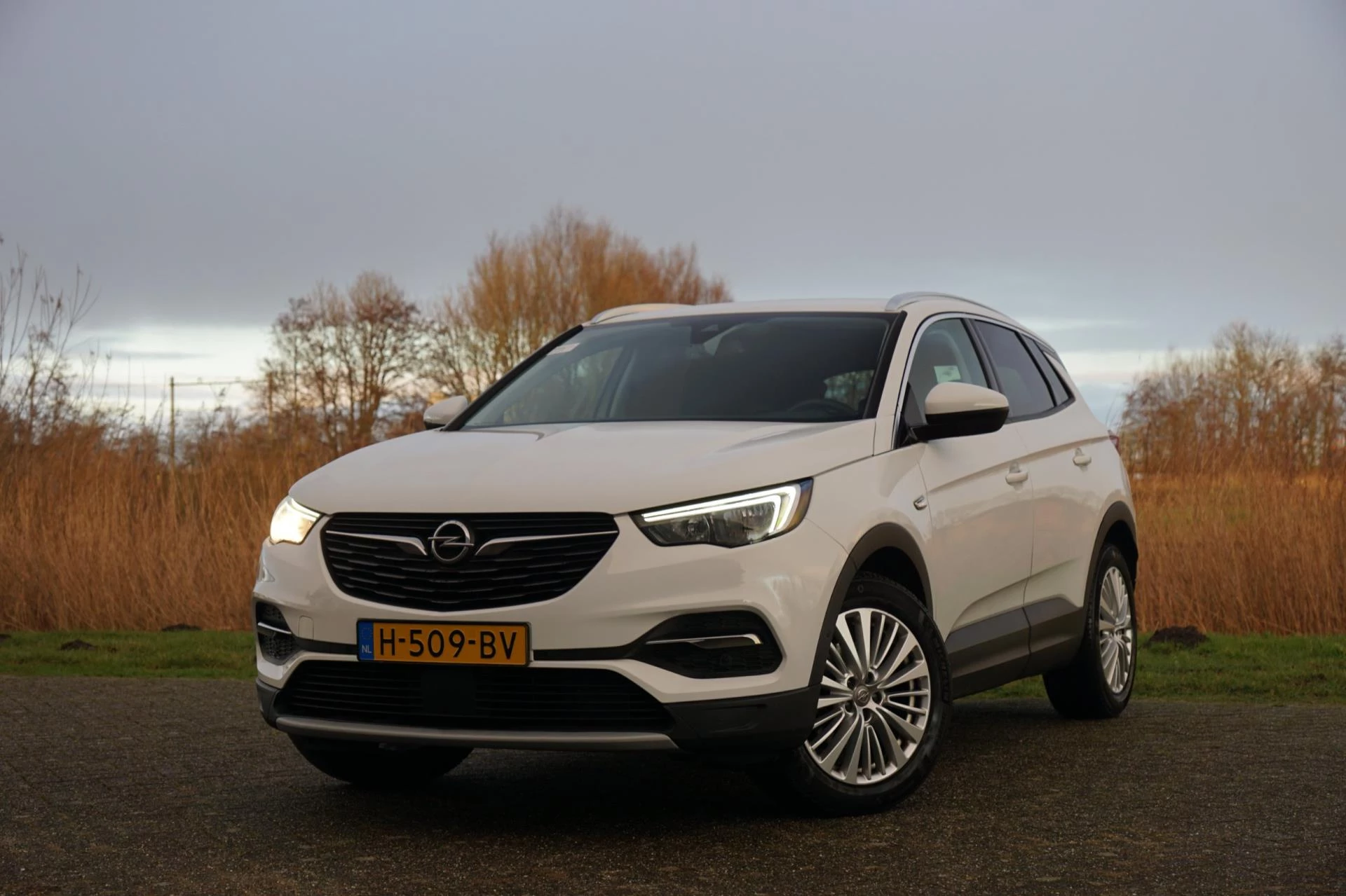 Hoofdafbeelding Opel Grandland X