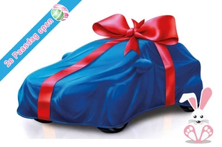 Ford EcoSport BWJ 12-2015 | 1.0T 126PK Titanium | TREKHAAK | LEER | CLIMA | 17'' LMV | PDC | CRUISE |