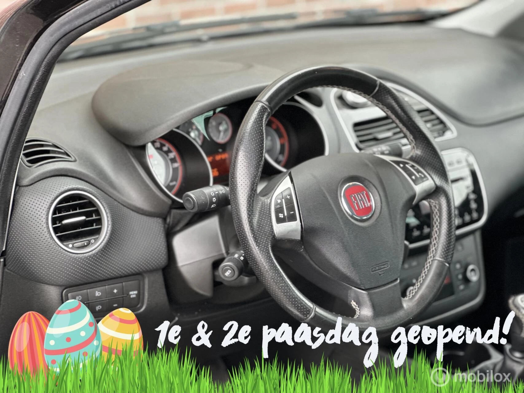 Hoofdafbeelding Fiat Punto