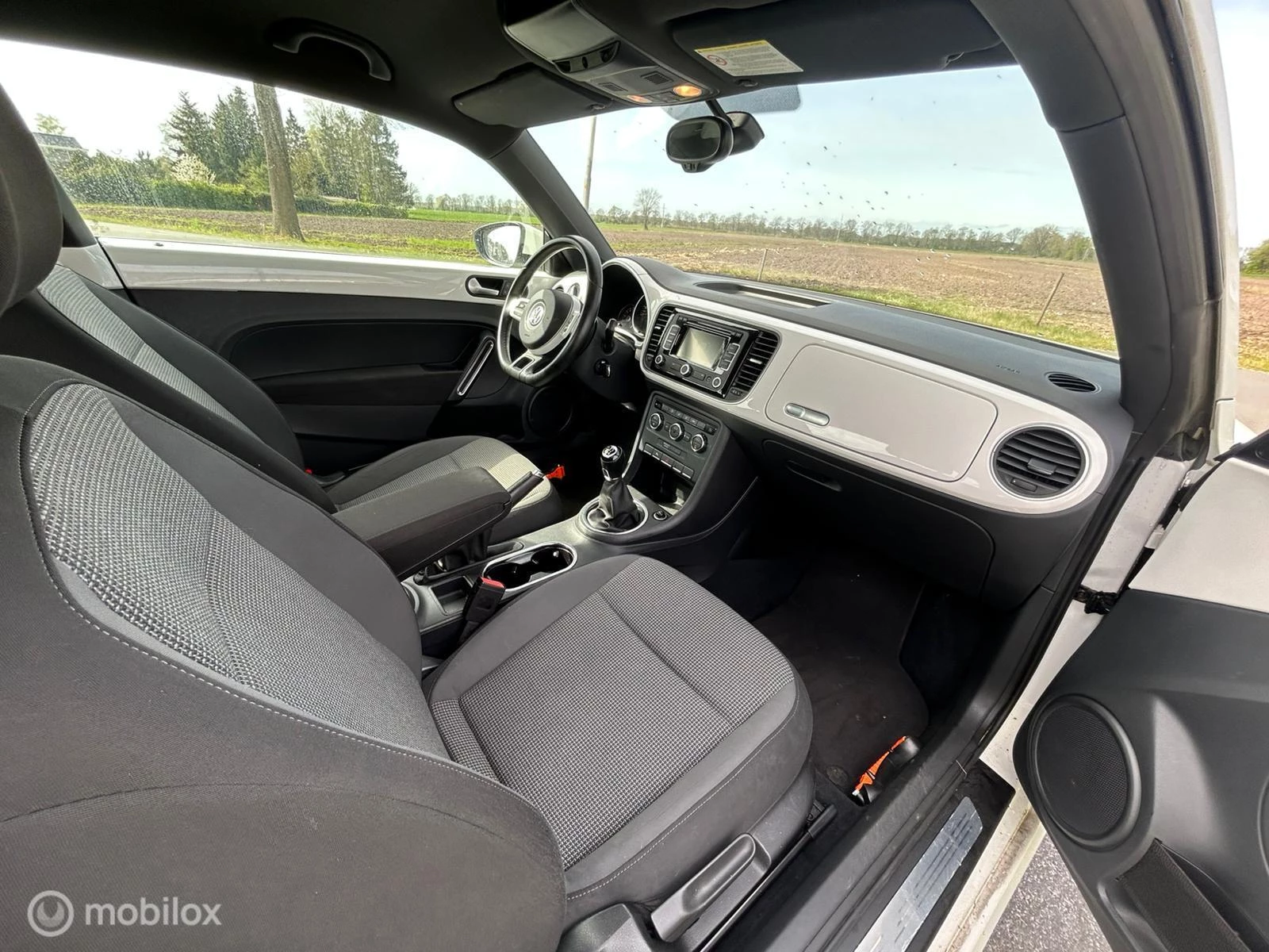 Hoofdafbeelding Volkswagen Beetle
