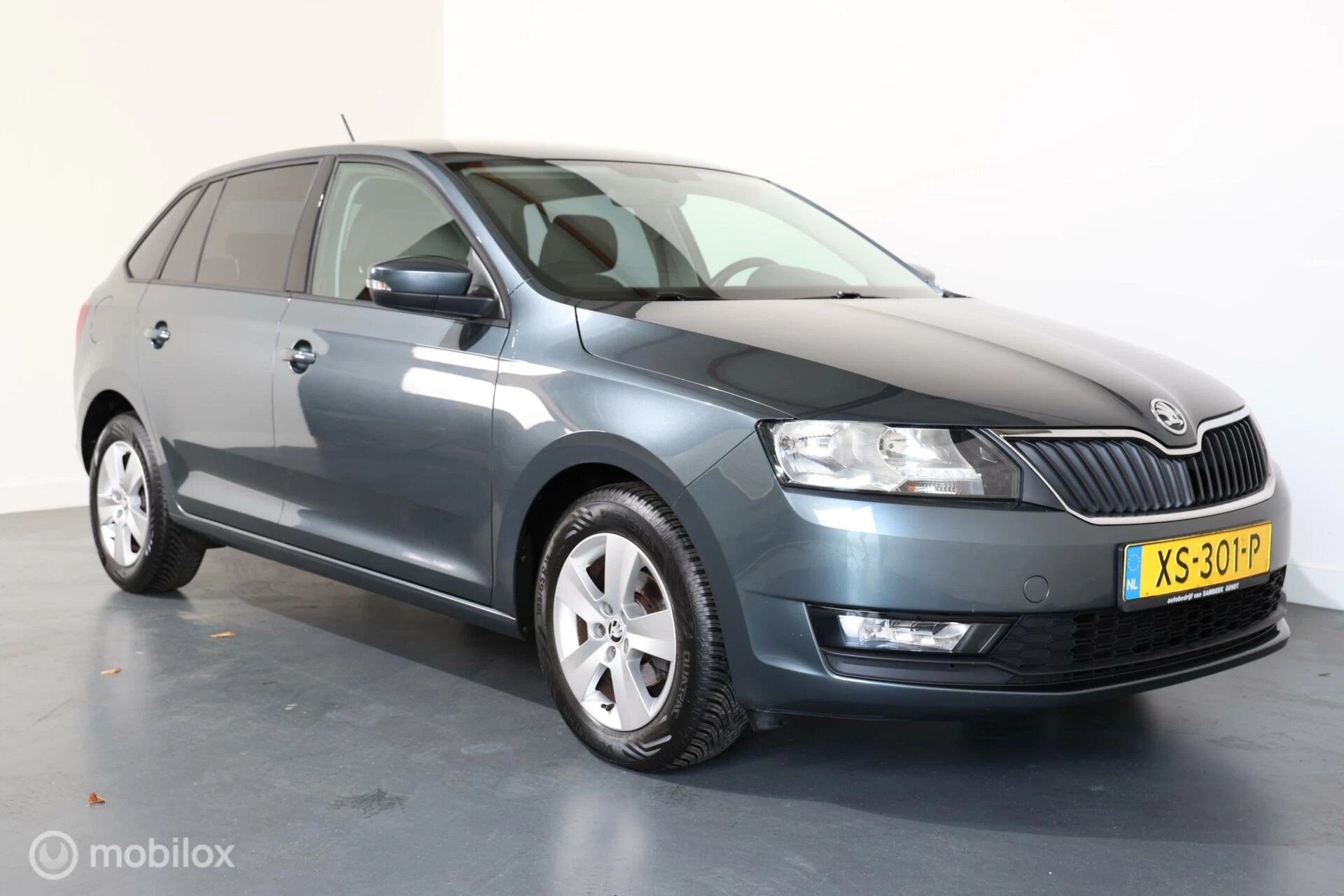 Hoofdafbeelding Škoda Rapid