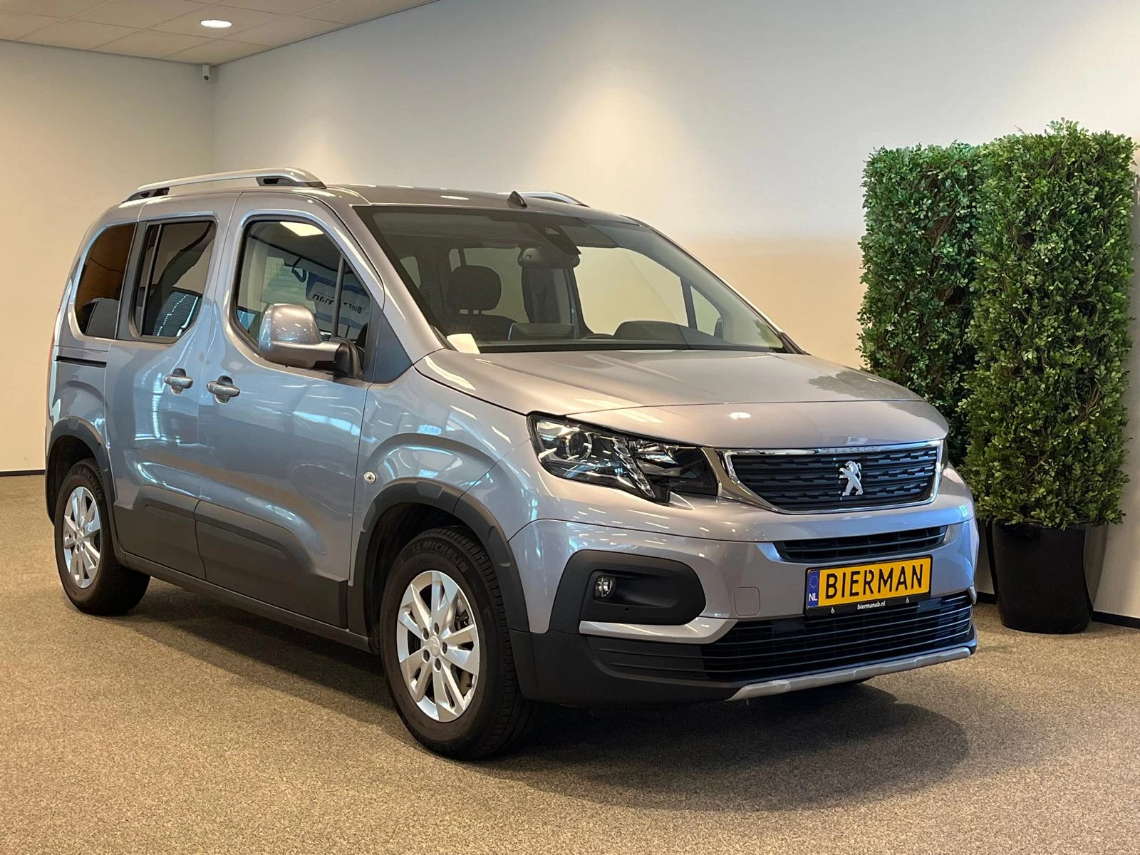 Hoofdafbeelding Peugeot Rifter
