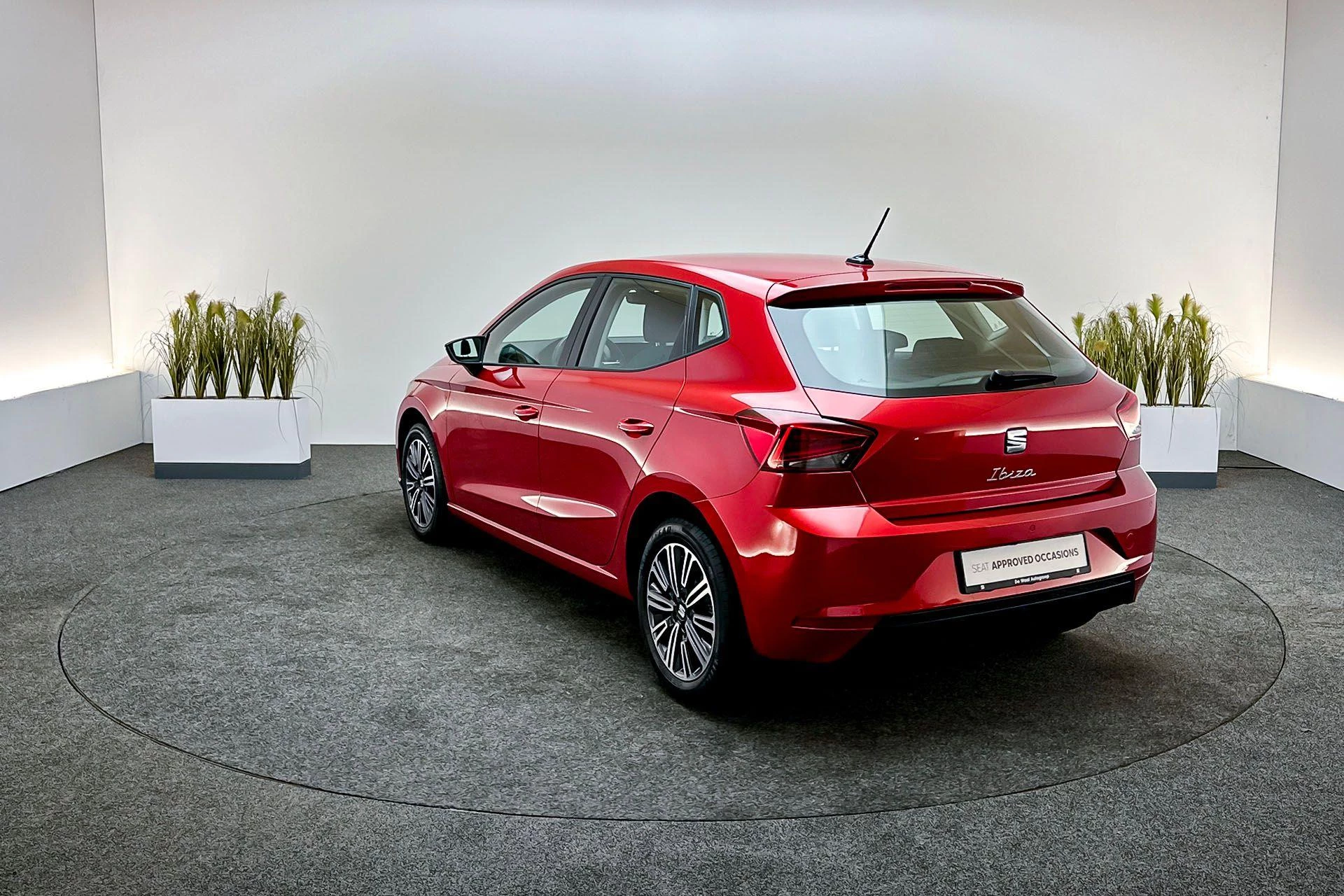 Hoofdafbeelding SEAT Ibiza